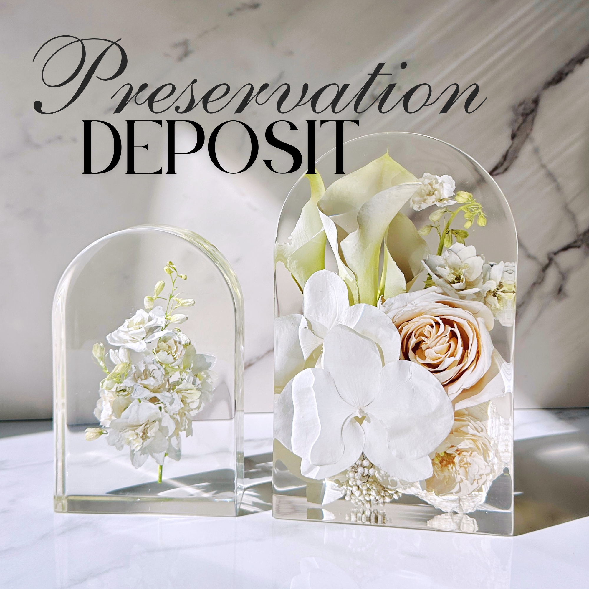 Project Deposit