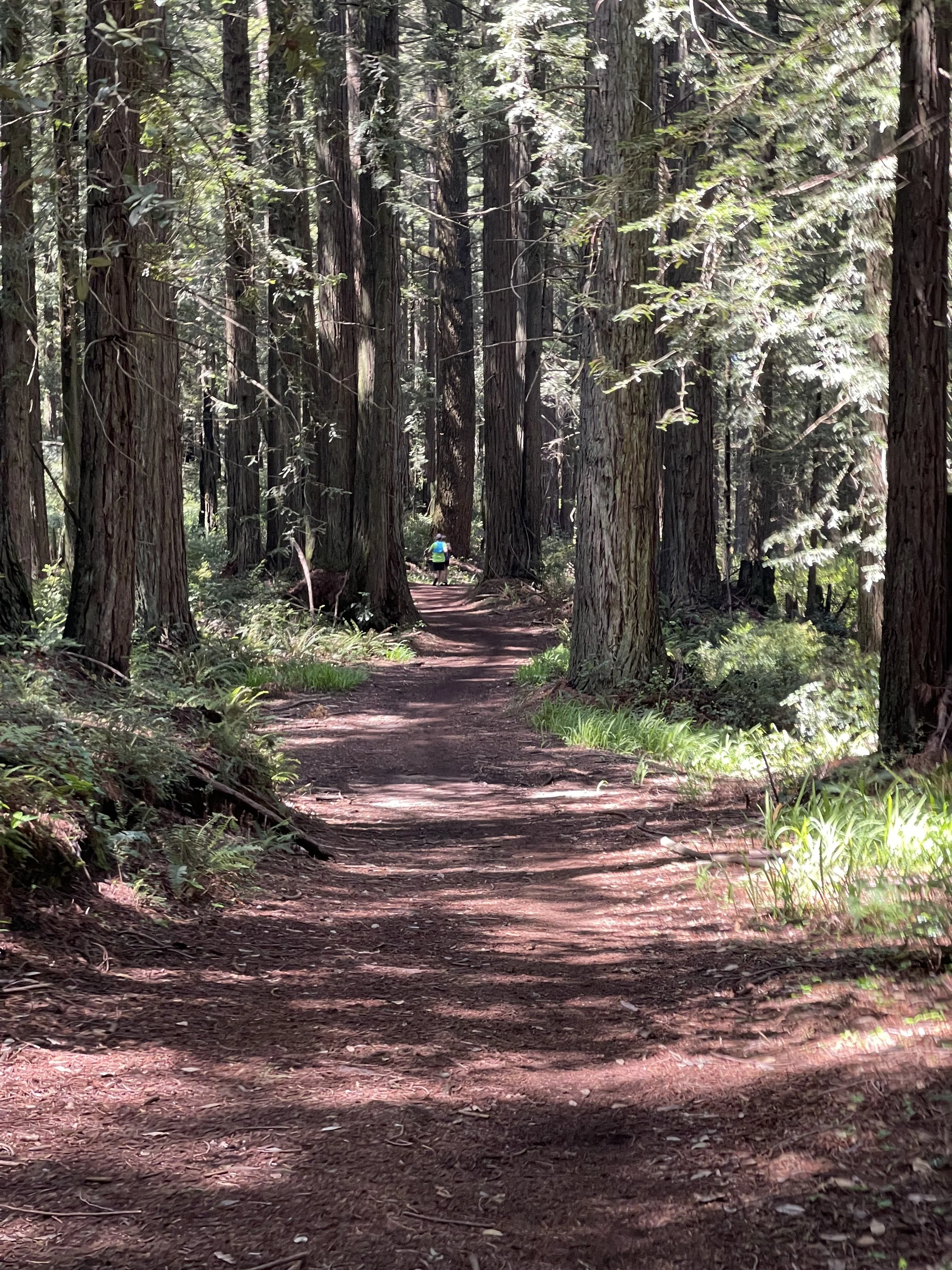 It Really Was A Dark and Stormy Night
