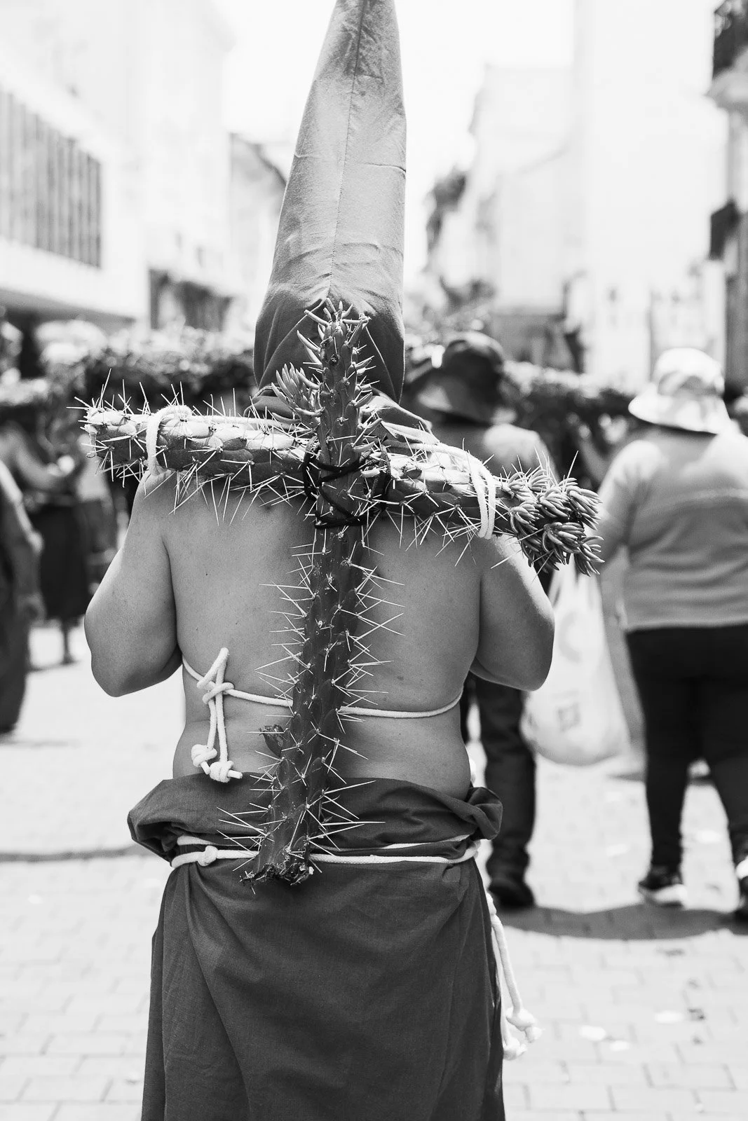 Hombre con un cubrebocas en forma de cono, portando un cactus gigante en la espalda, durante un evento en una calle concurrida.