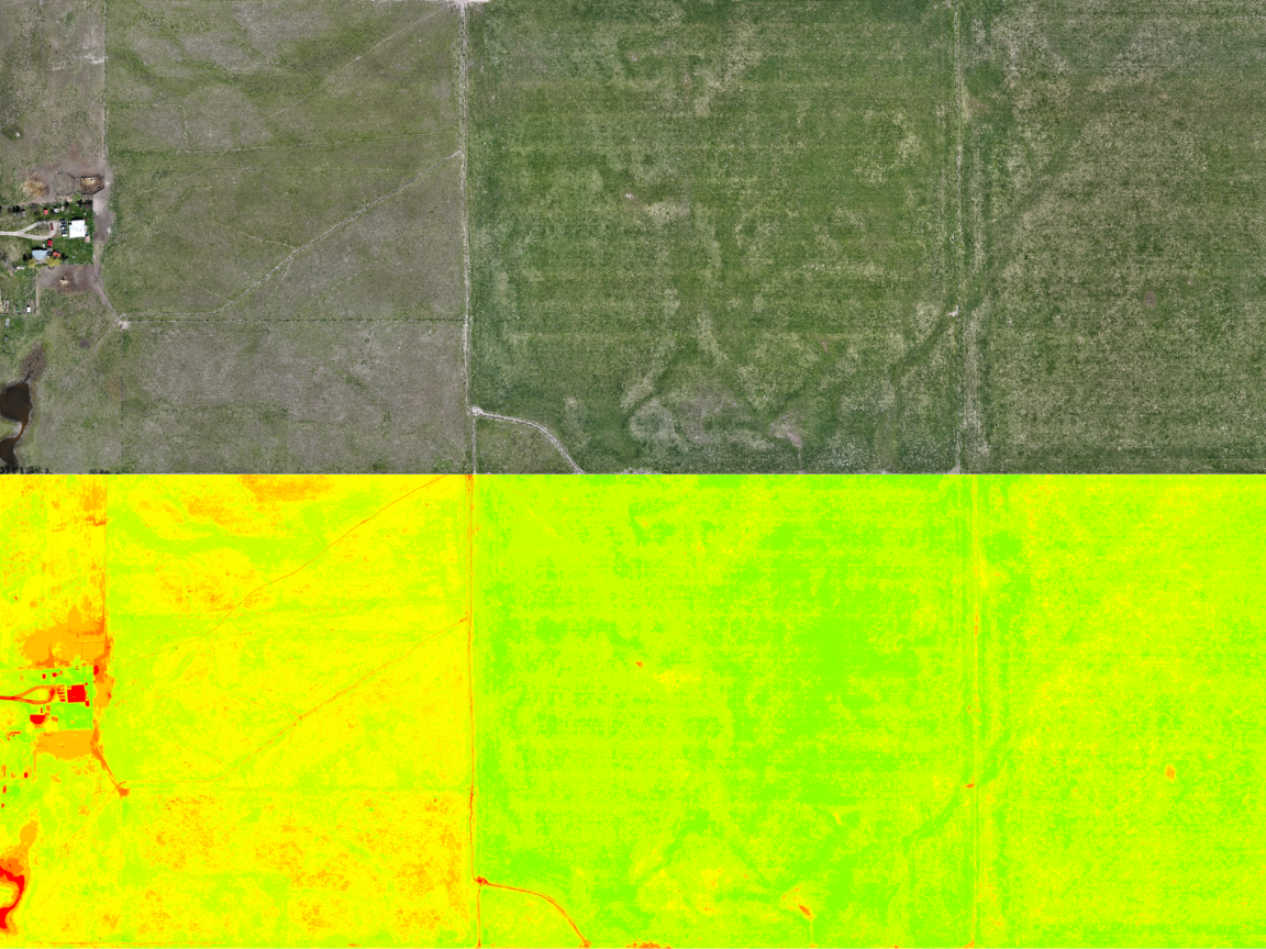 Multispectral Analysis NDVI.png