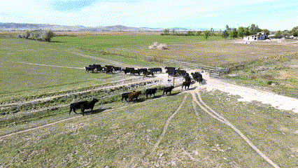 Ranching Services.gif