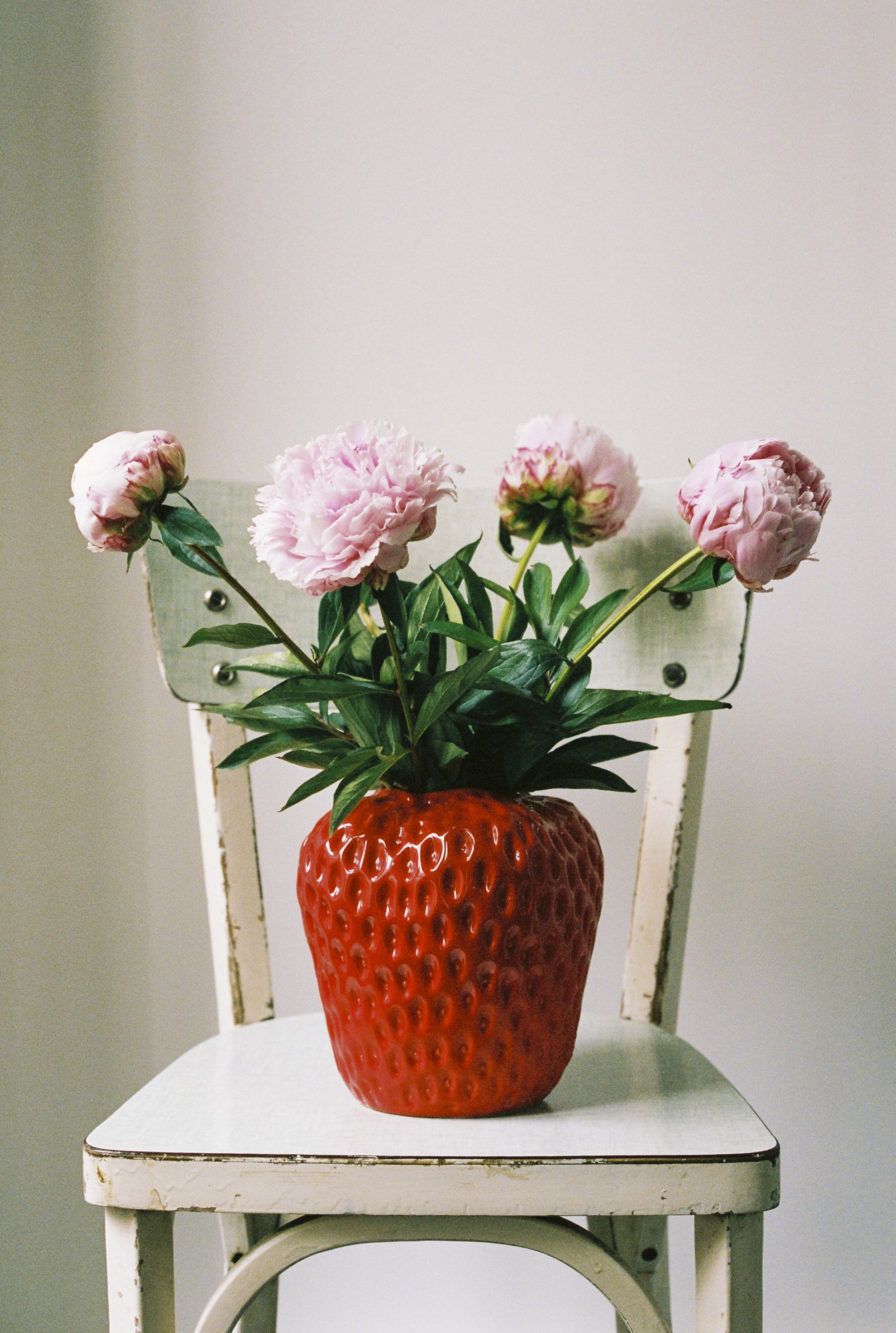 2026-05 CANONAE1 SELECTION-26.jpg