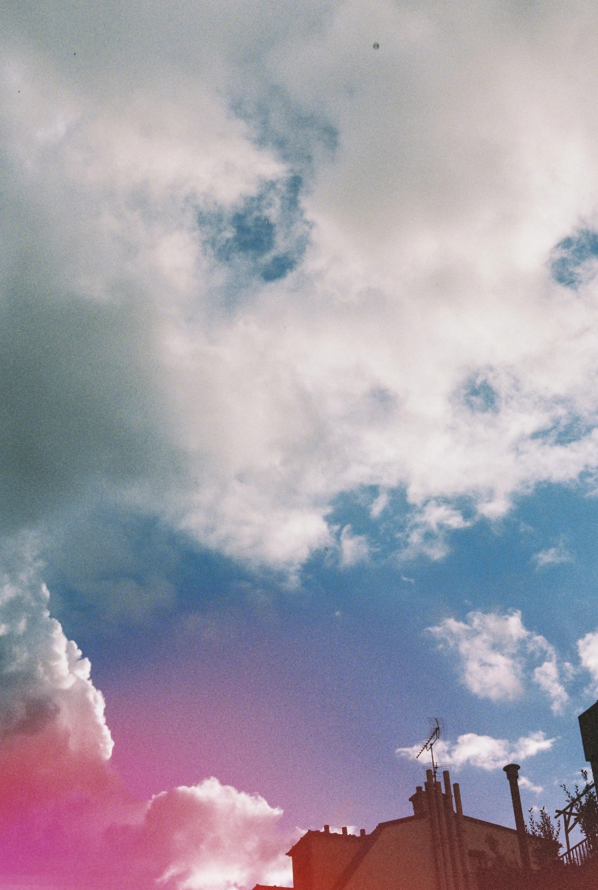 2026-05 CANONAE1 SELECTION-31.jpg