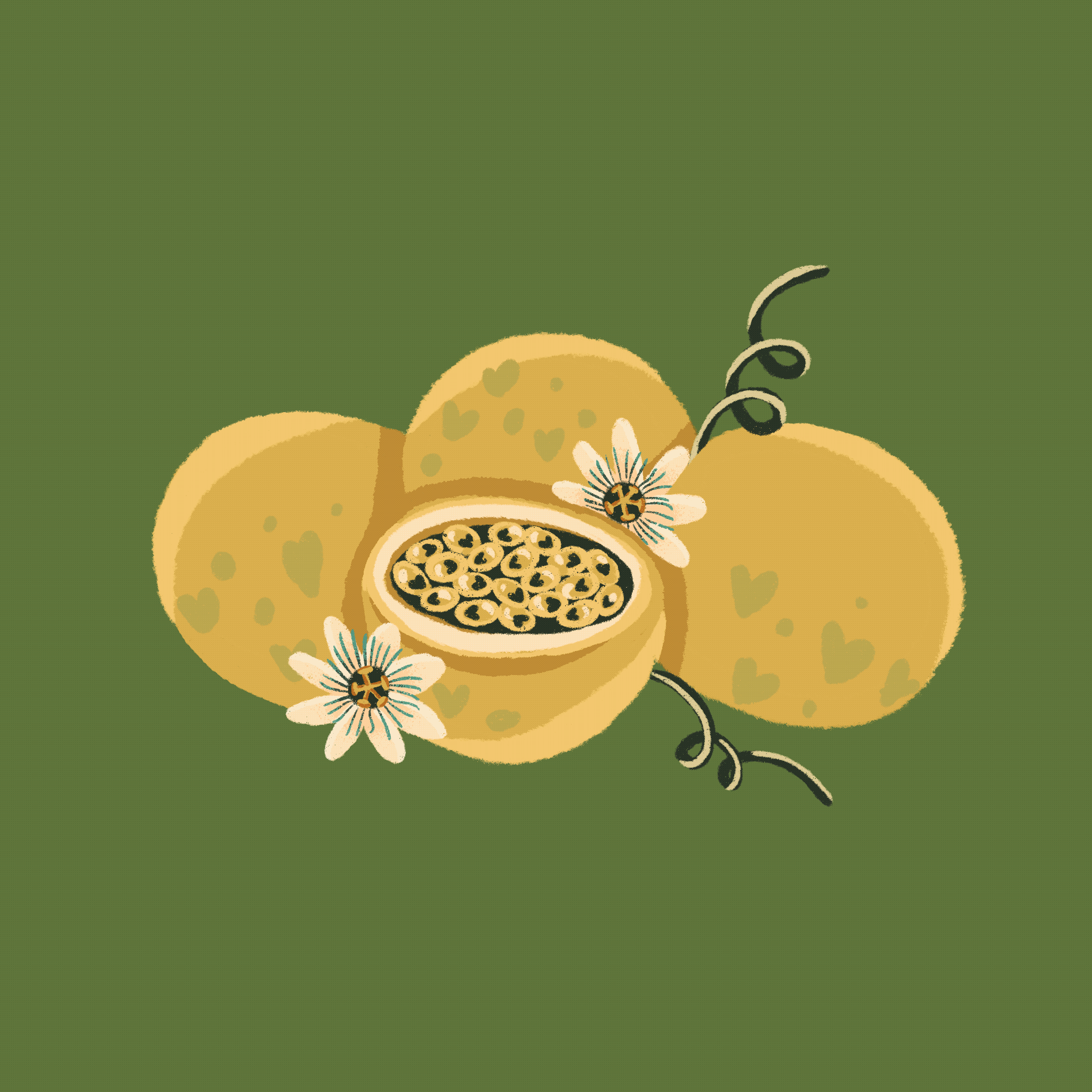 62fd31bb97b604e5175b83c1_3234263D-8F6A-42EC-8B5C-63CF8EAD1EB2.gif