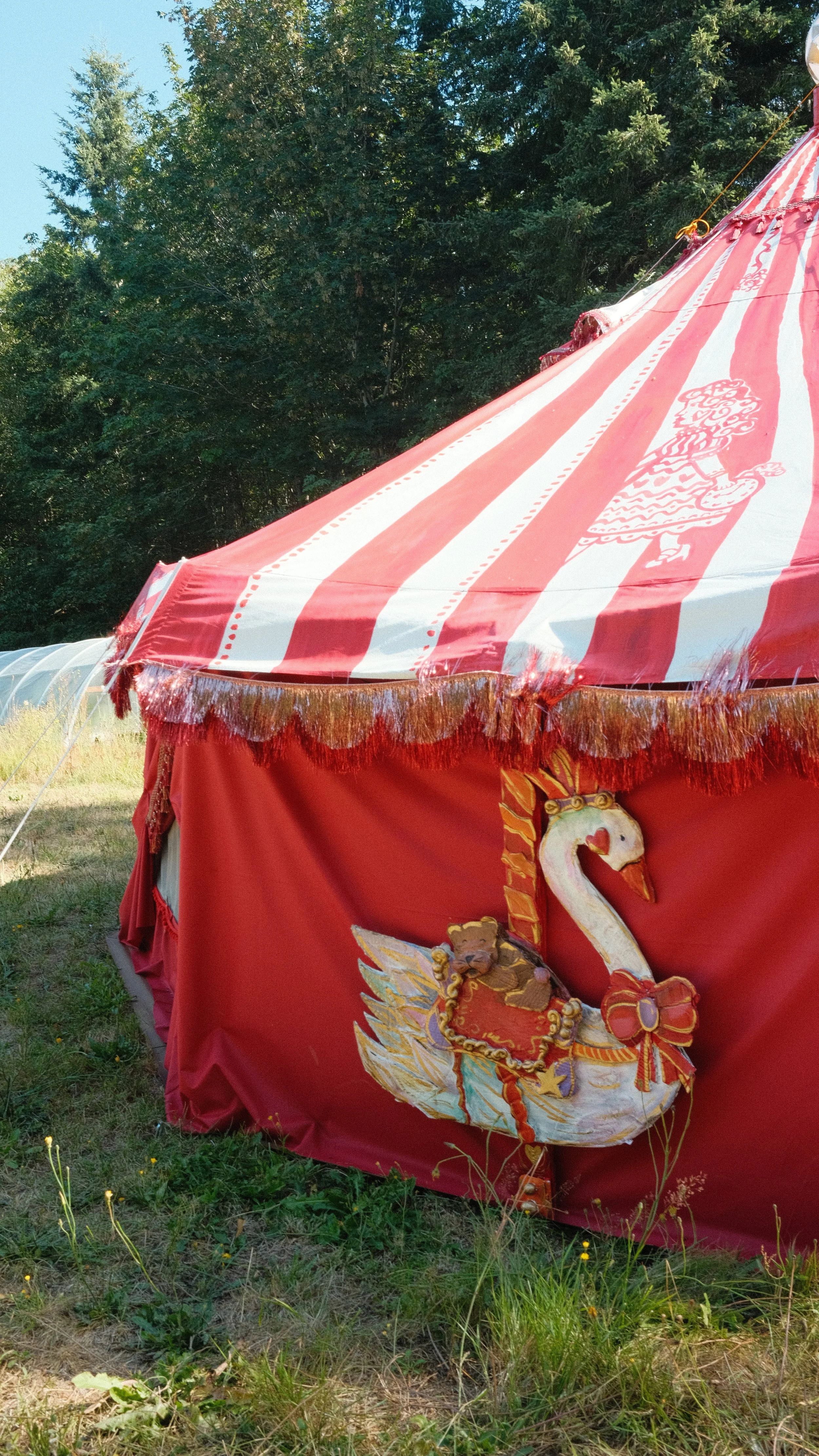DSCF3489.JPG
