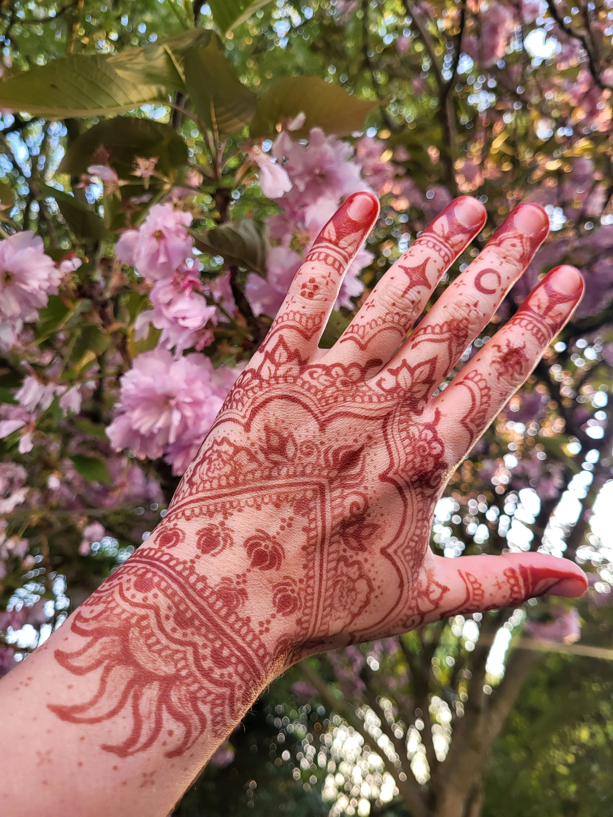 Close-up of a hand with henna designs on fingers and palm, raised in front of pink flowering tree leaves in sunlight.
