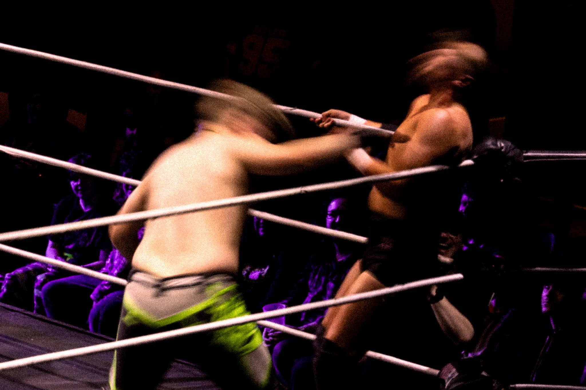 noisy neighbours_16_11_2025-3.jpg