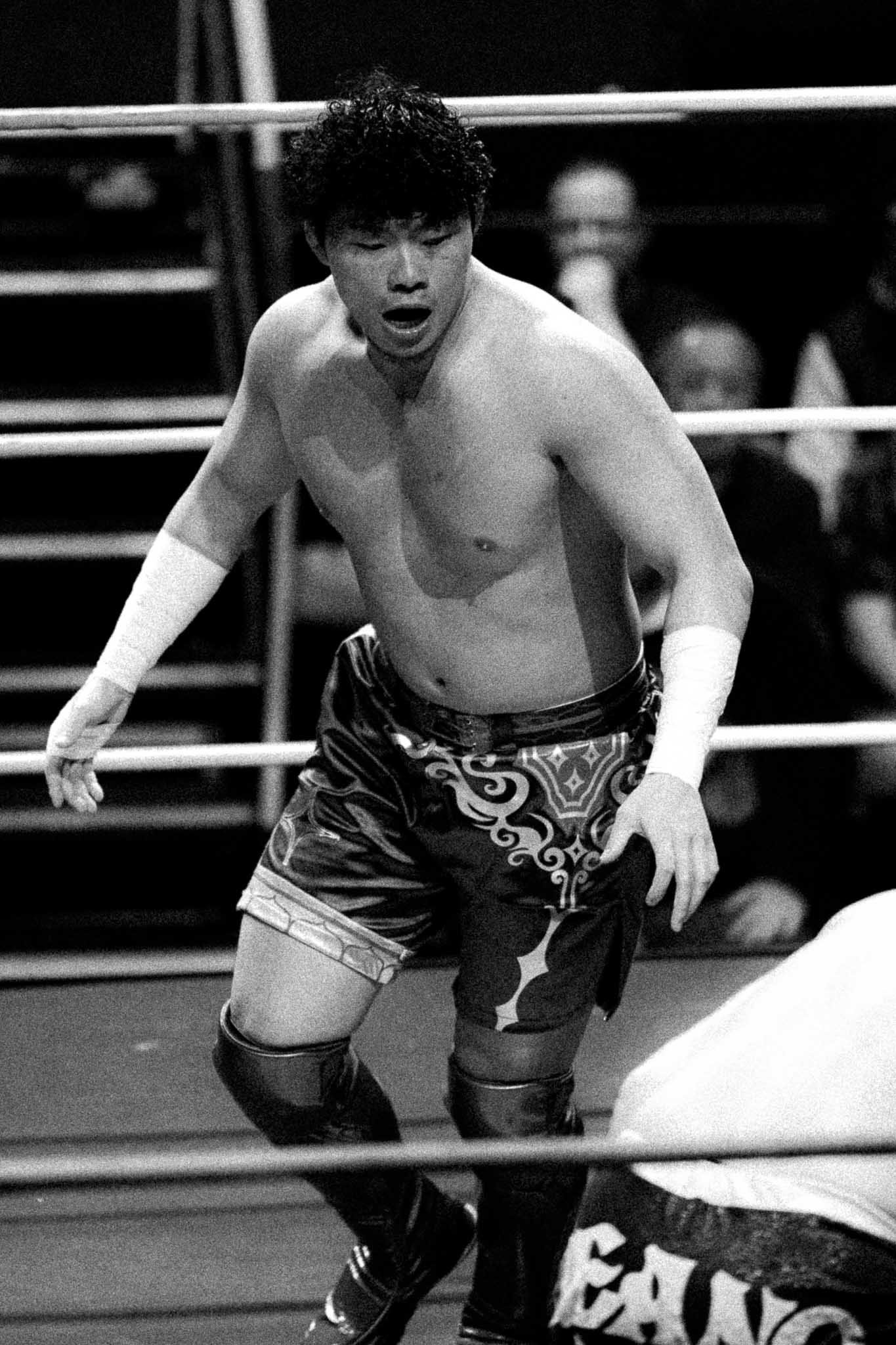 noisy neighbours_16_11_2025.jpg