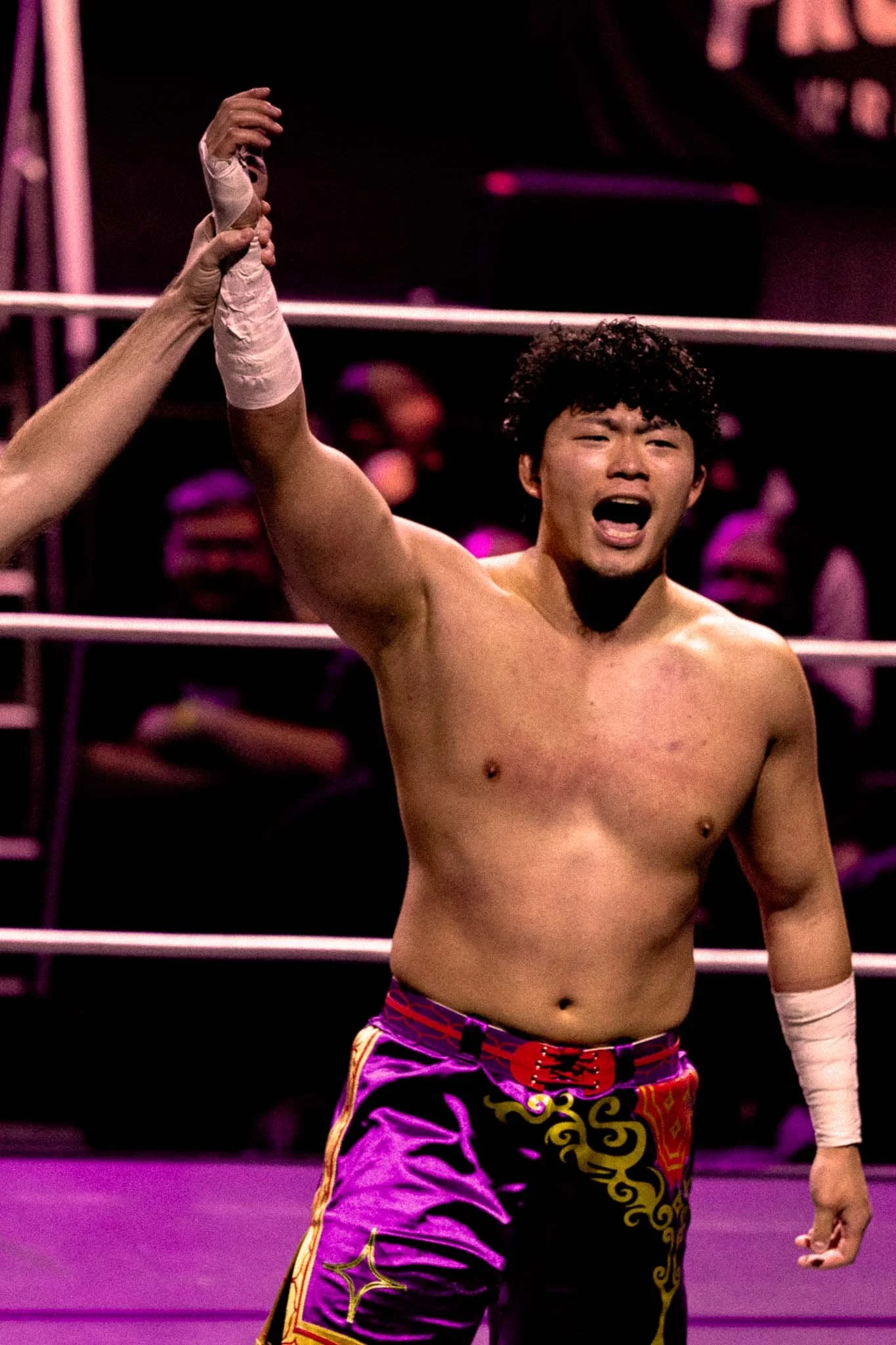 noisy neighbours_16_11_2025-2.jpg