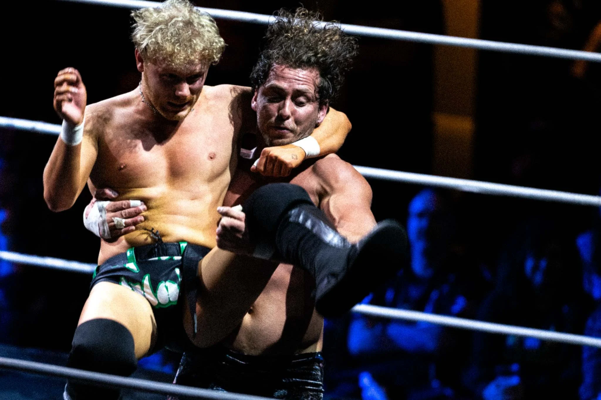 noisy neighbours_16_11_2025-6.jpg