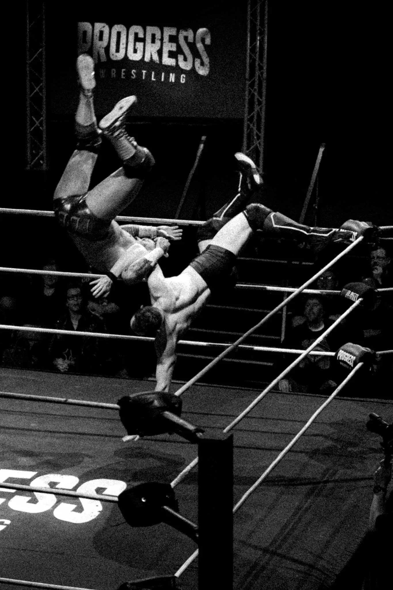 noisy neighbours_16_11_2025-14.jpg