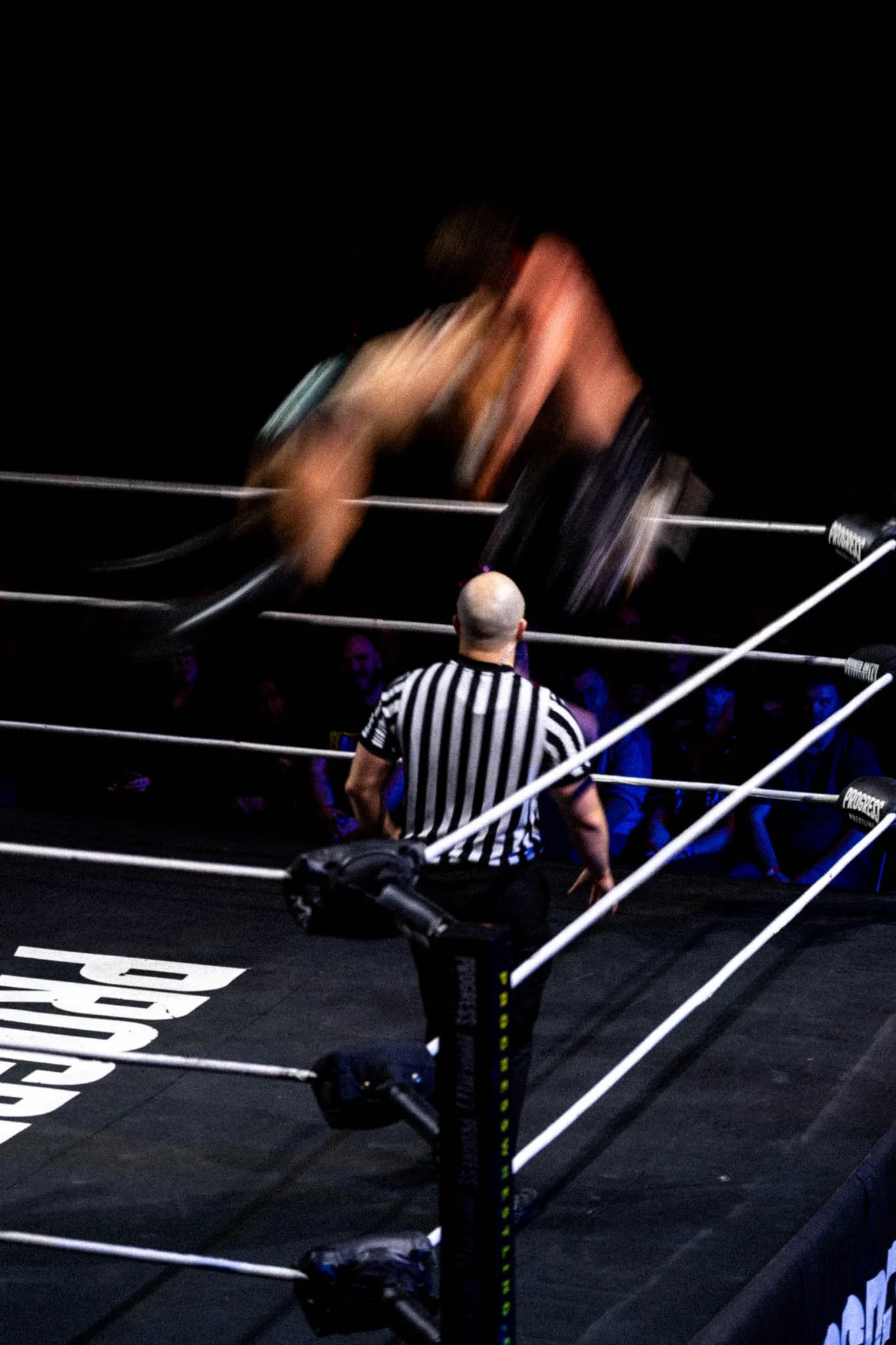 noisy neighbours_16_11_2025-7.jpg