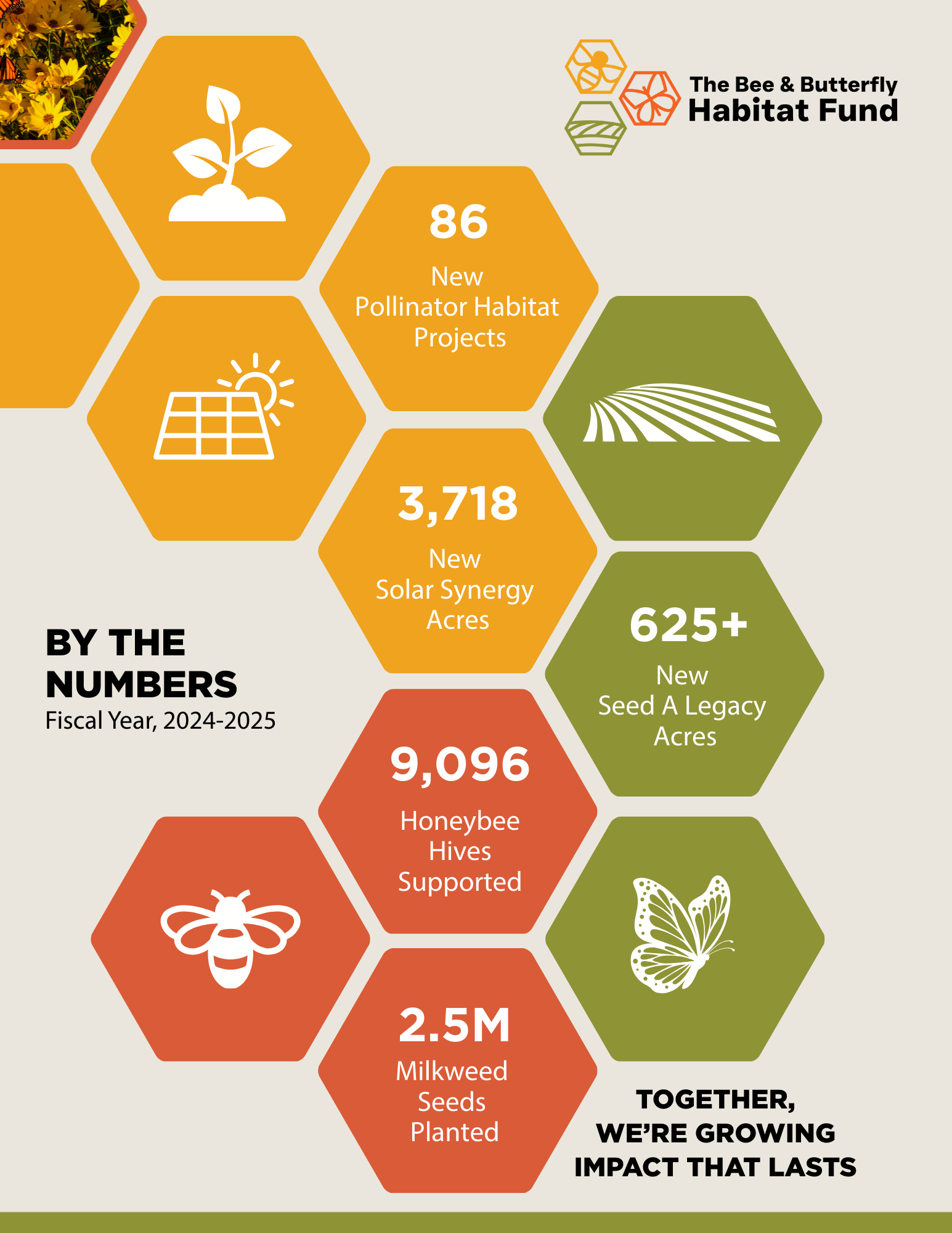 Growing Impact, Strengthening Ecosystems: Explore Our 2025 Annual Report