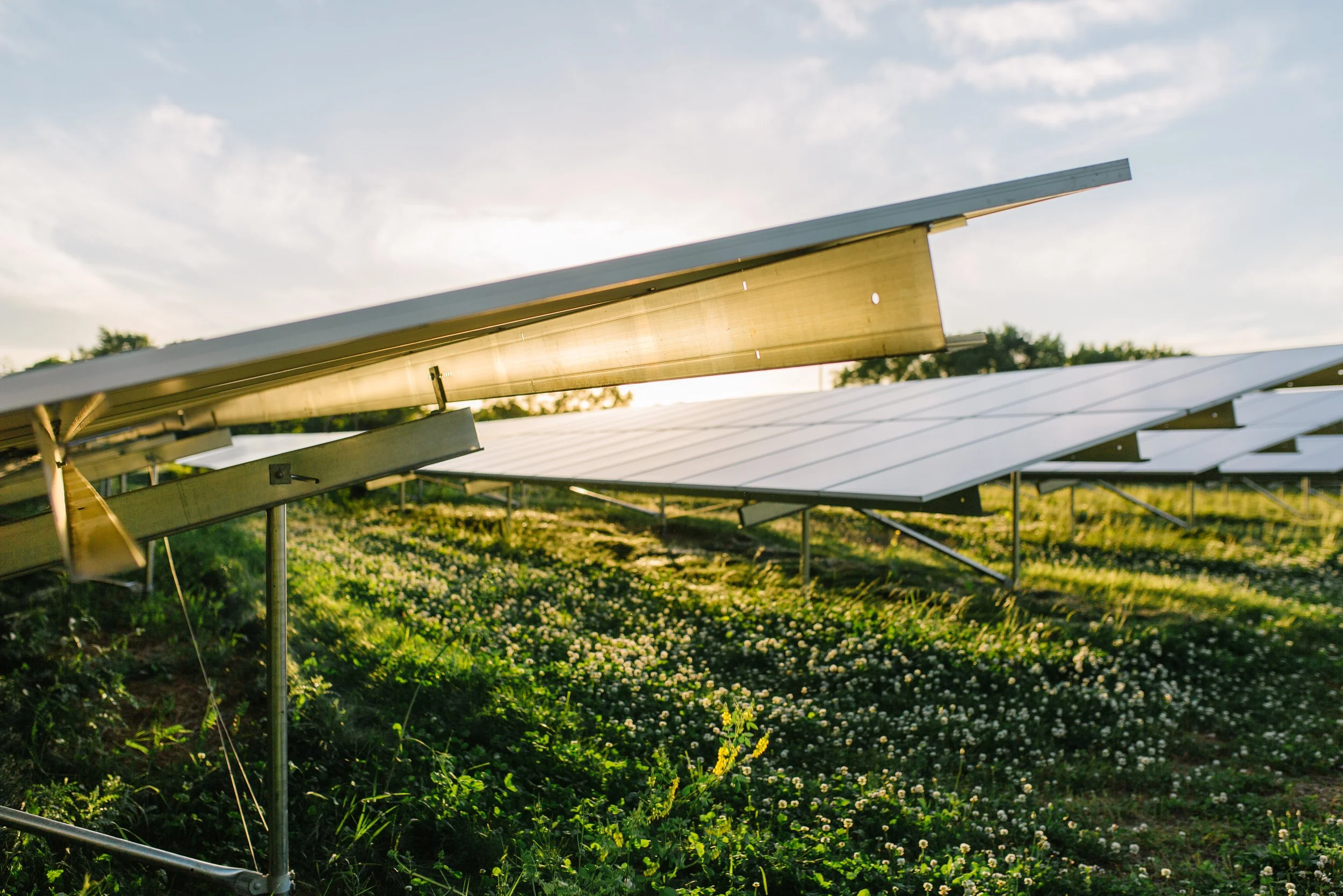 Solar_MVS_RebeccaSior-6007.jpg