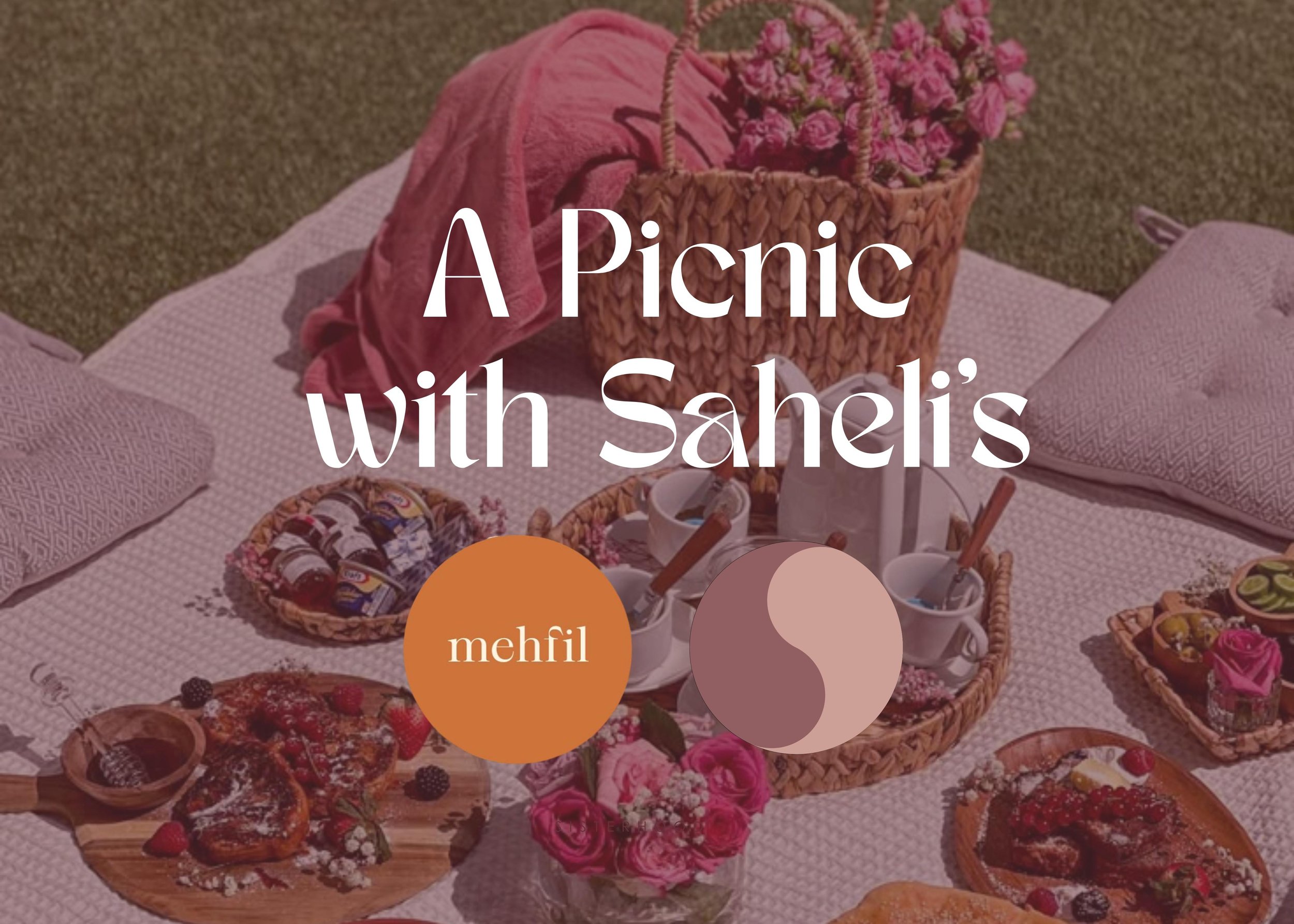 A Picnic with Saheli's w/ Our Mehfil