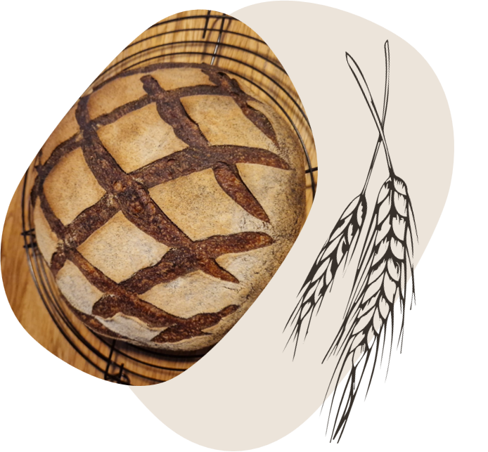 Pain Pommes de Terre & Noix et Levain naturel Quarroz / Livraison éco et abonnement hebdomadaire en Bas-Valais 