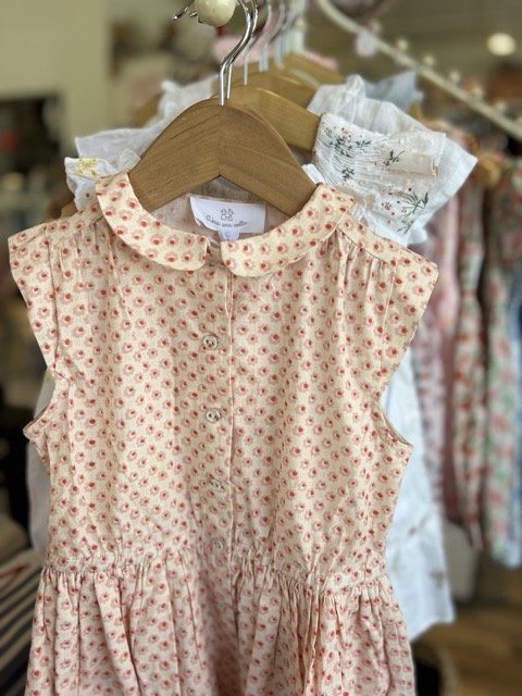 IMG_4131 2 Medium.jpeg