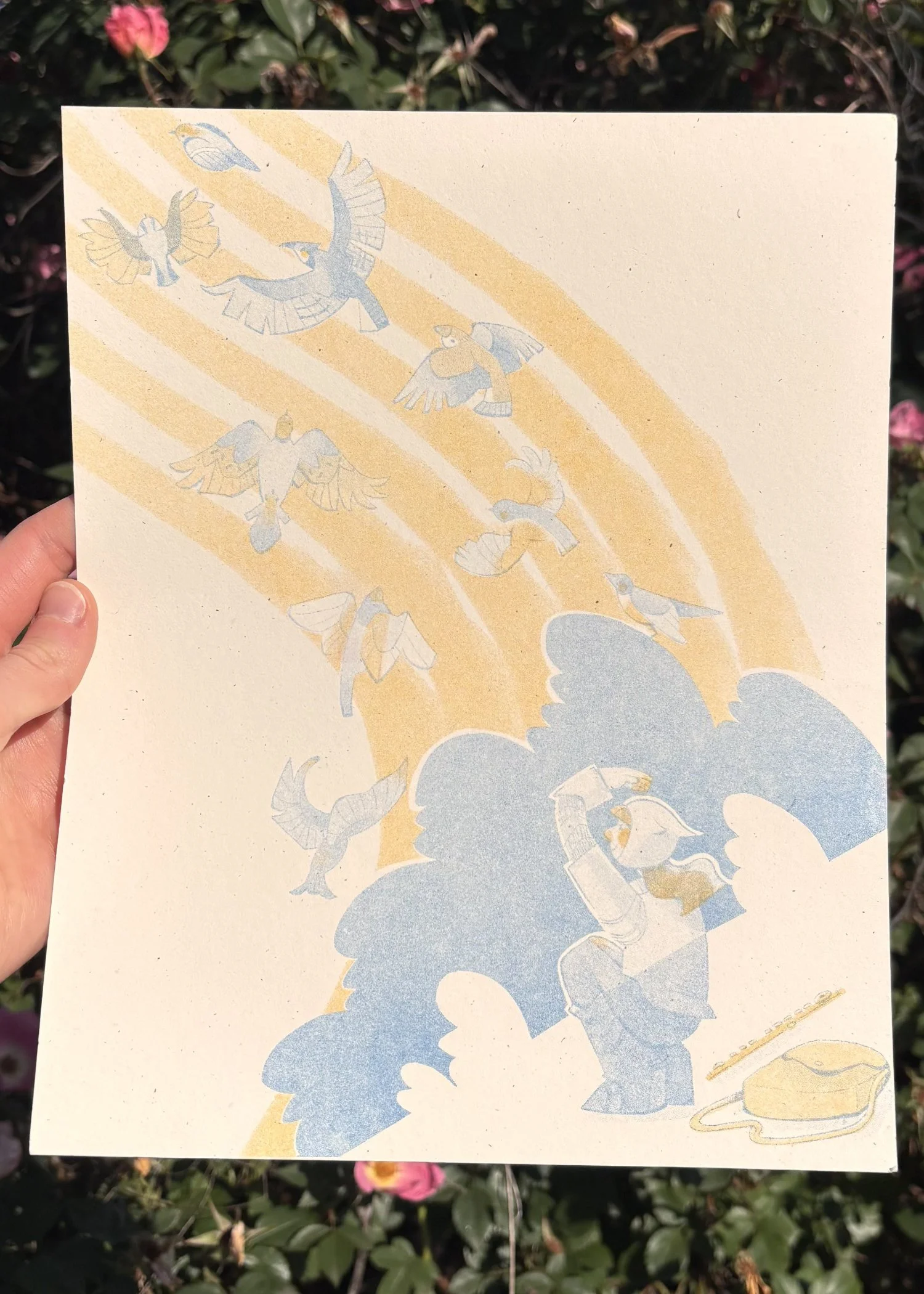 bird-riso-photo.jpg