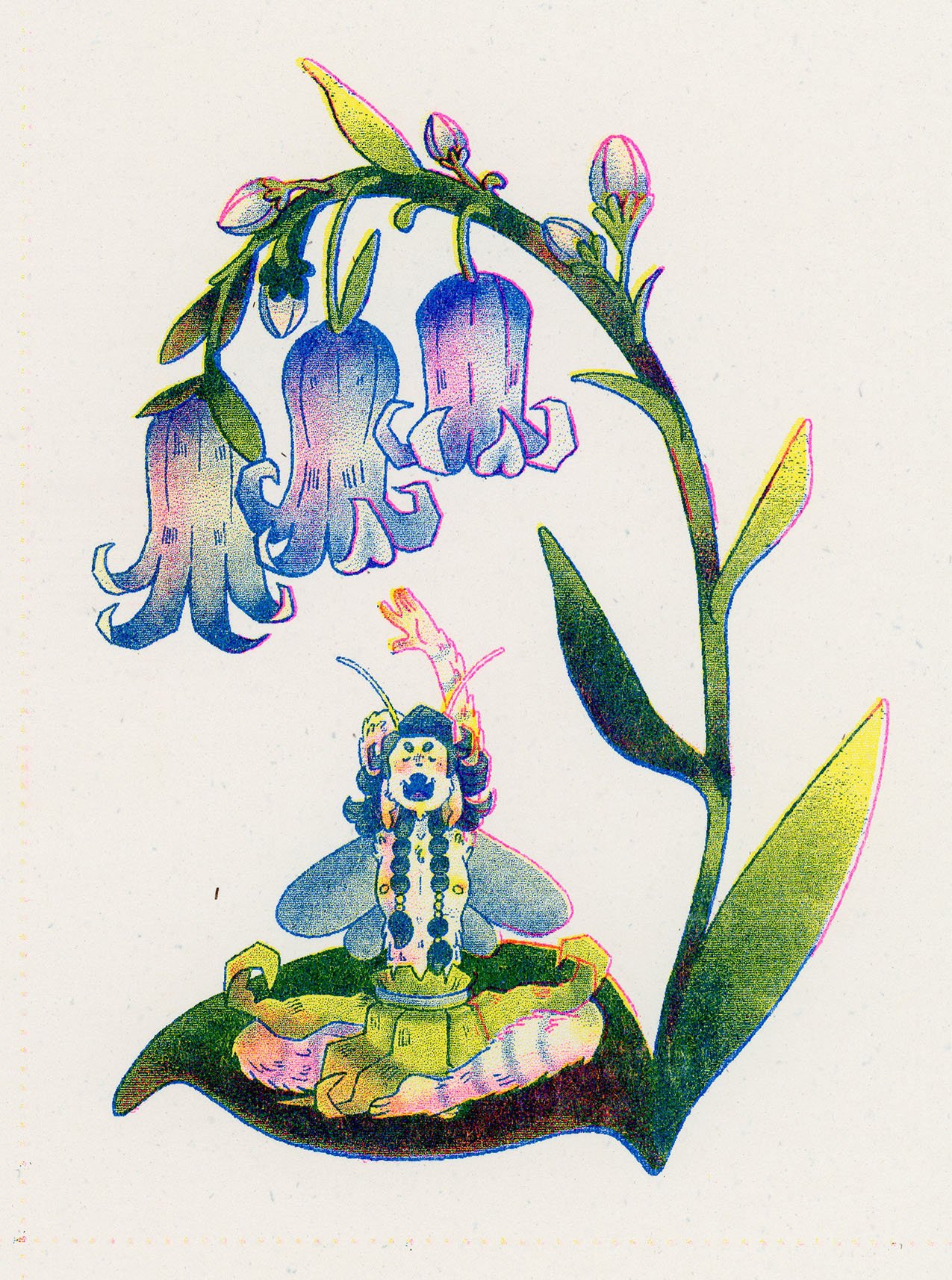 bluebell.jpg