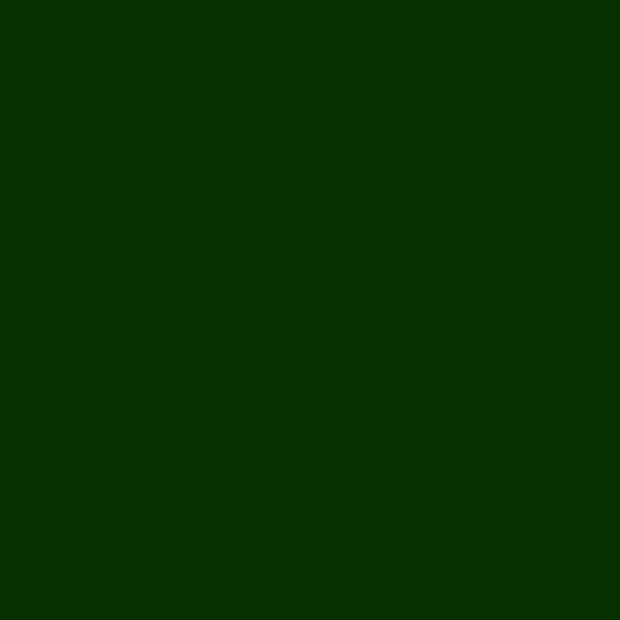 Forest.jpg