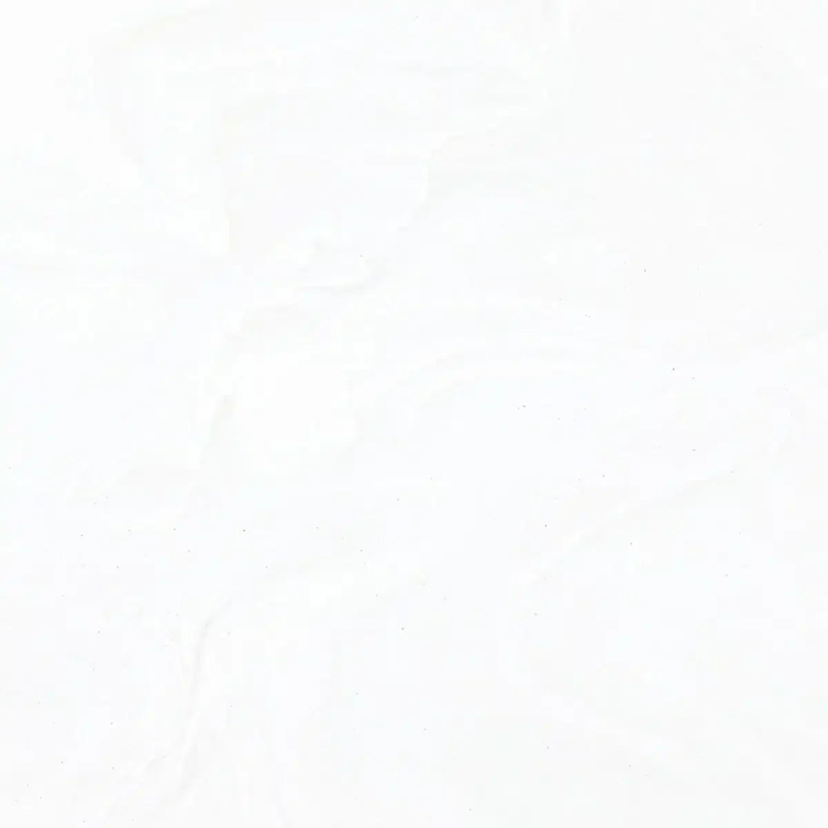 VA311.webp