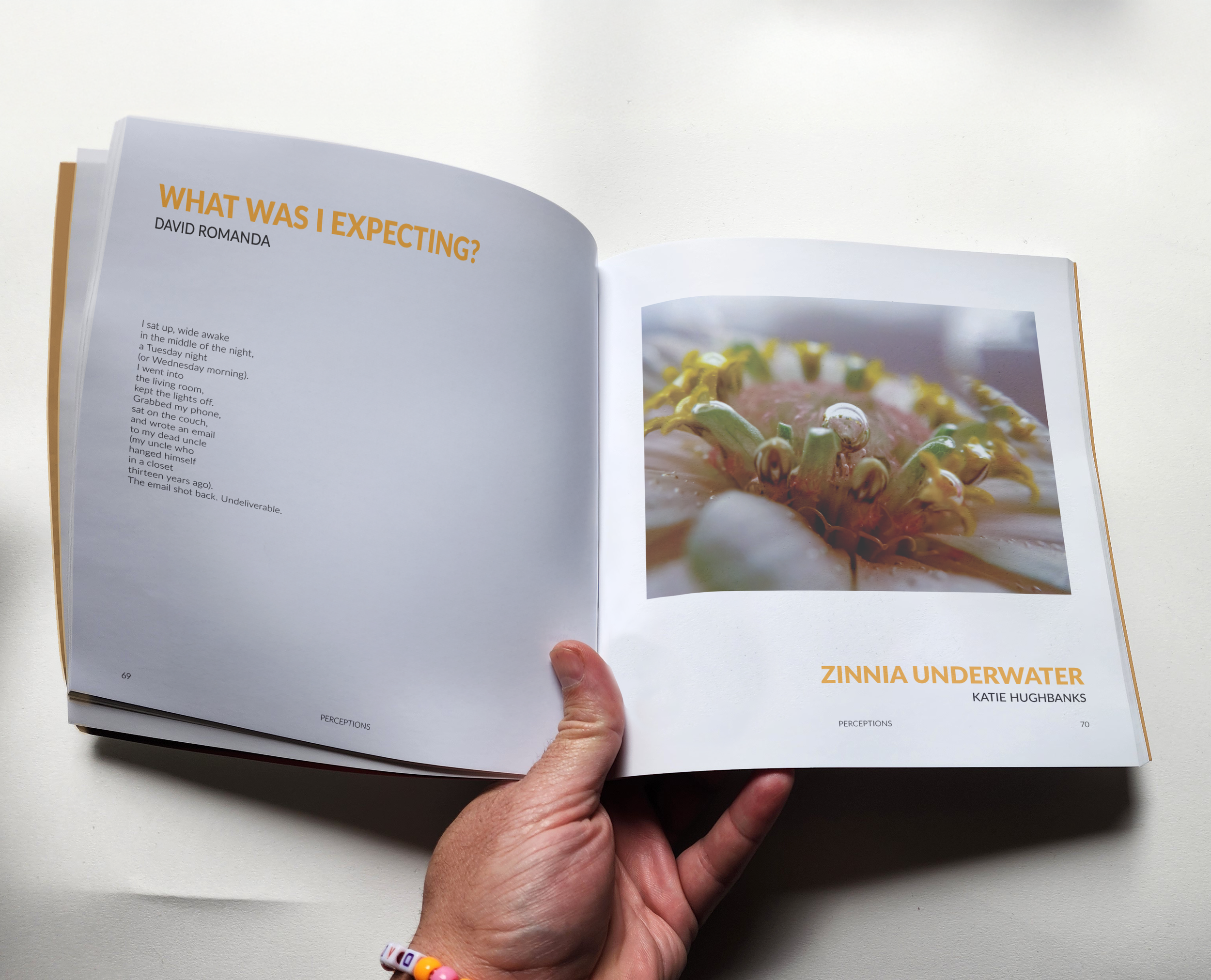 PERCEPTIONS BOOK