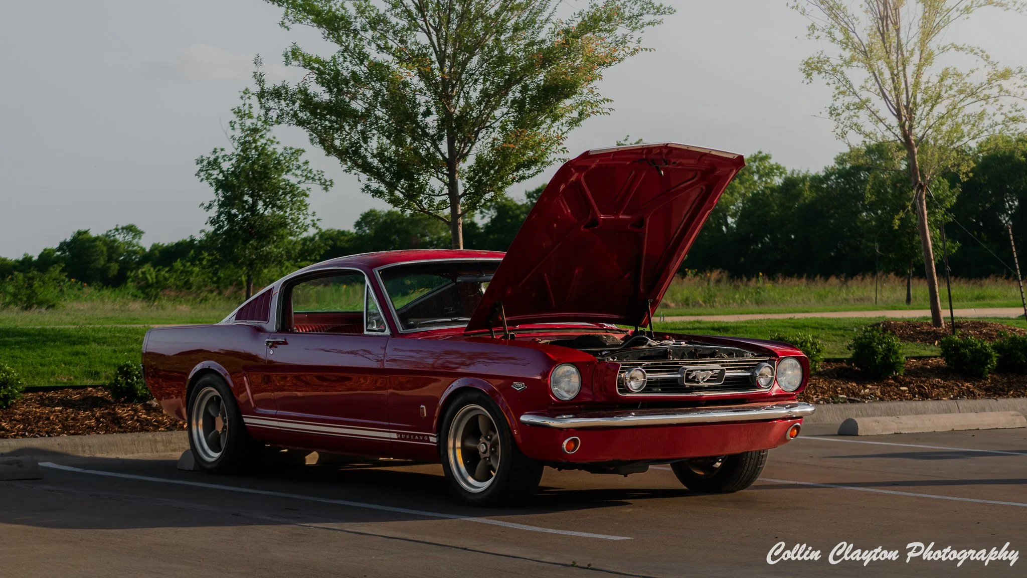 Classic Ford Mustang in Burgundy