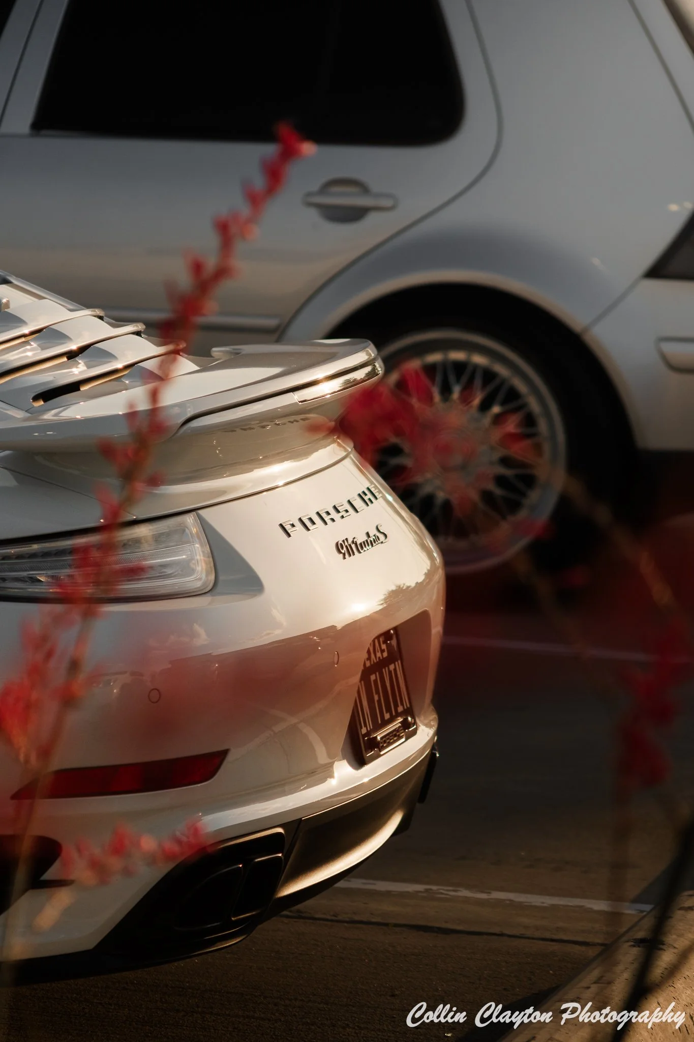 Porsche 911 Carrera S – Rear Emblem with Foreground