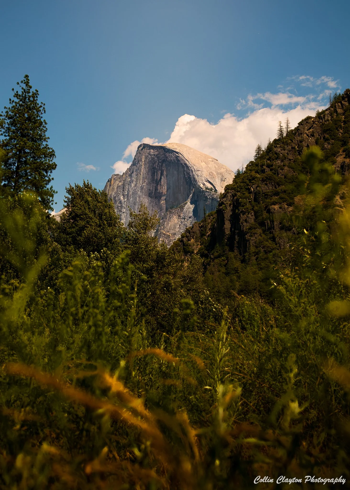 Yosemite2025-26.jpg