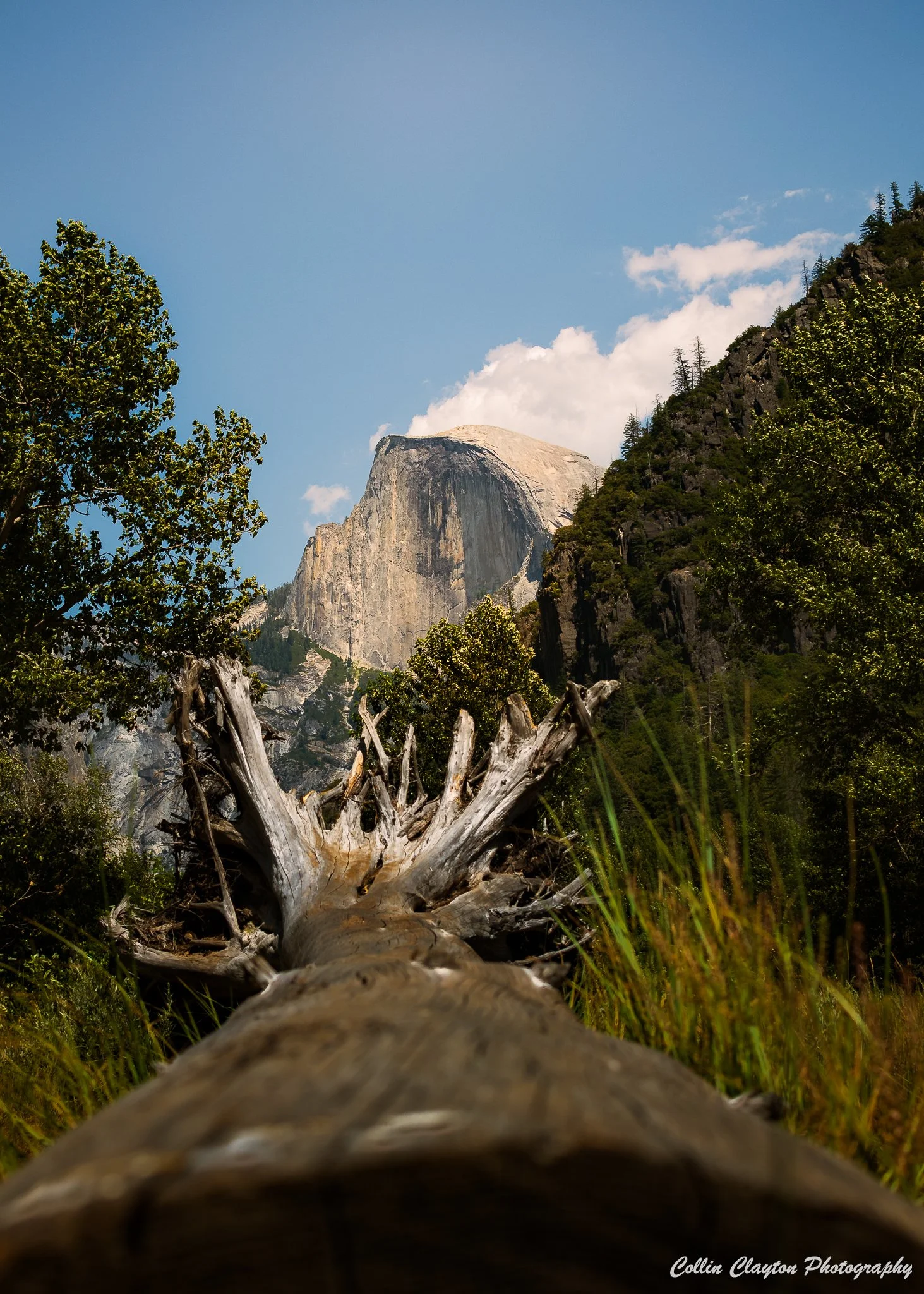 Yosemite2025-27.jpg
