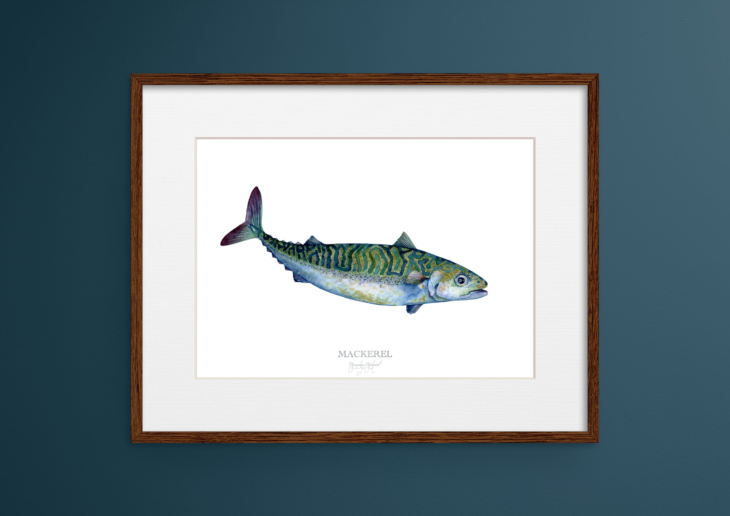 mackerel-A3-frame-mockup-vanna-paabor.jpg