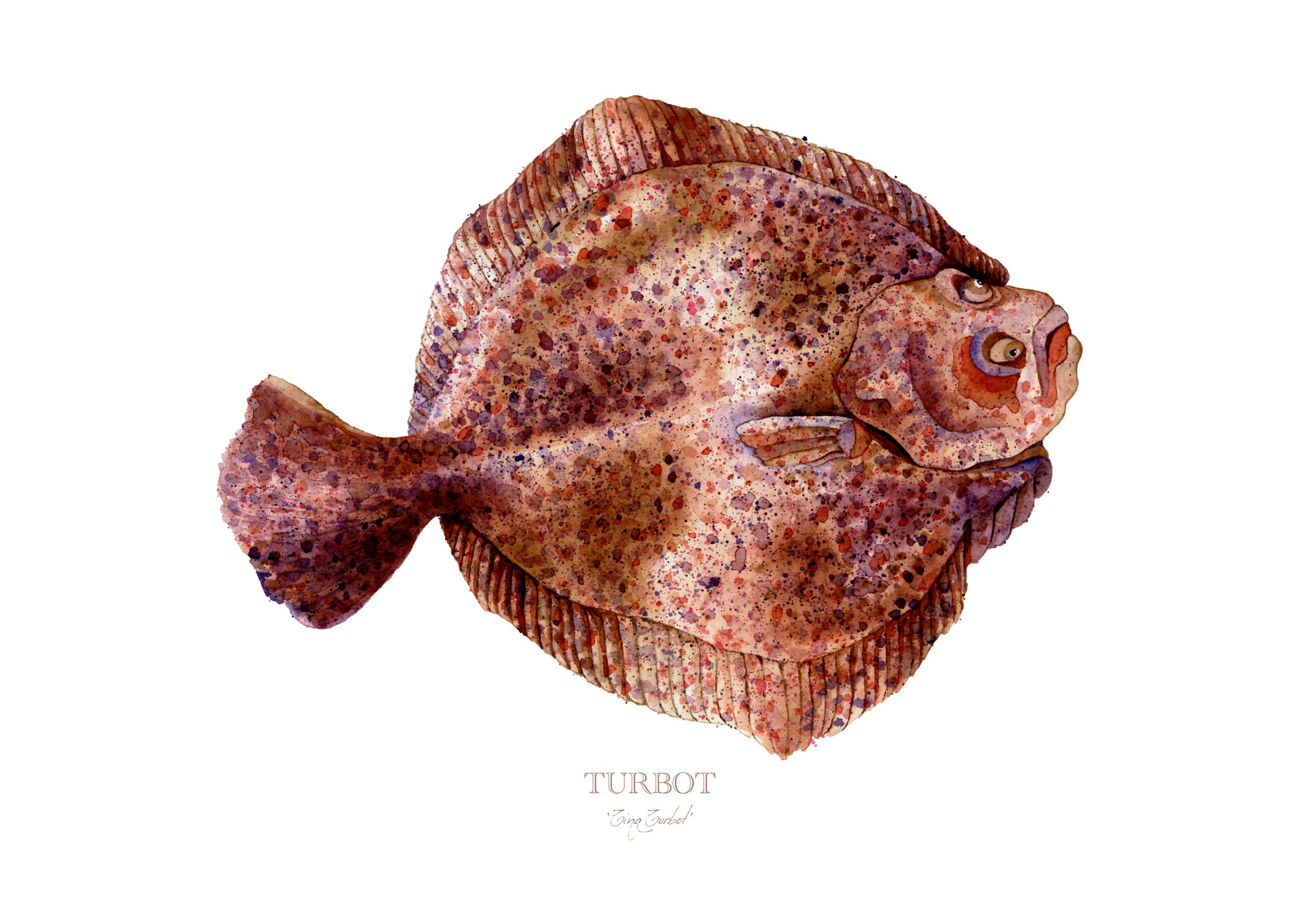 Tina Turbot