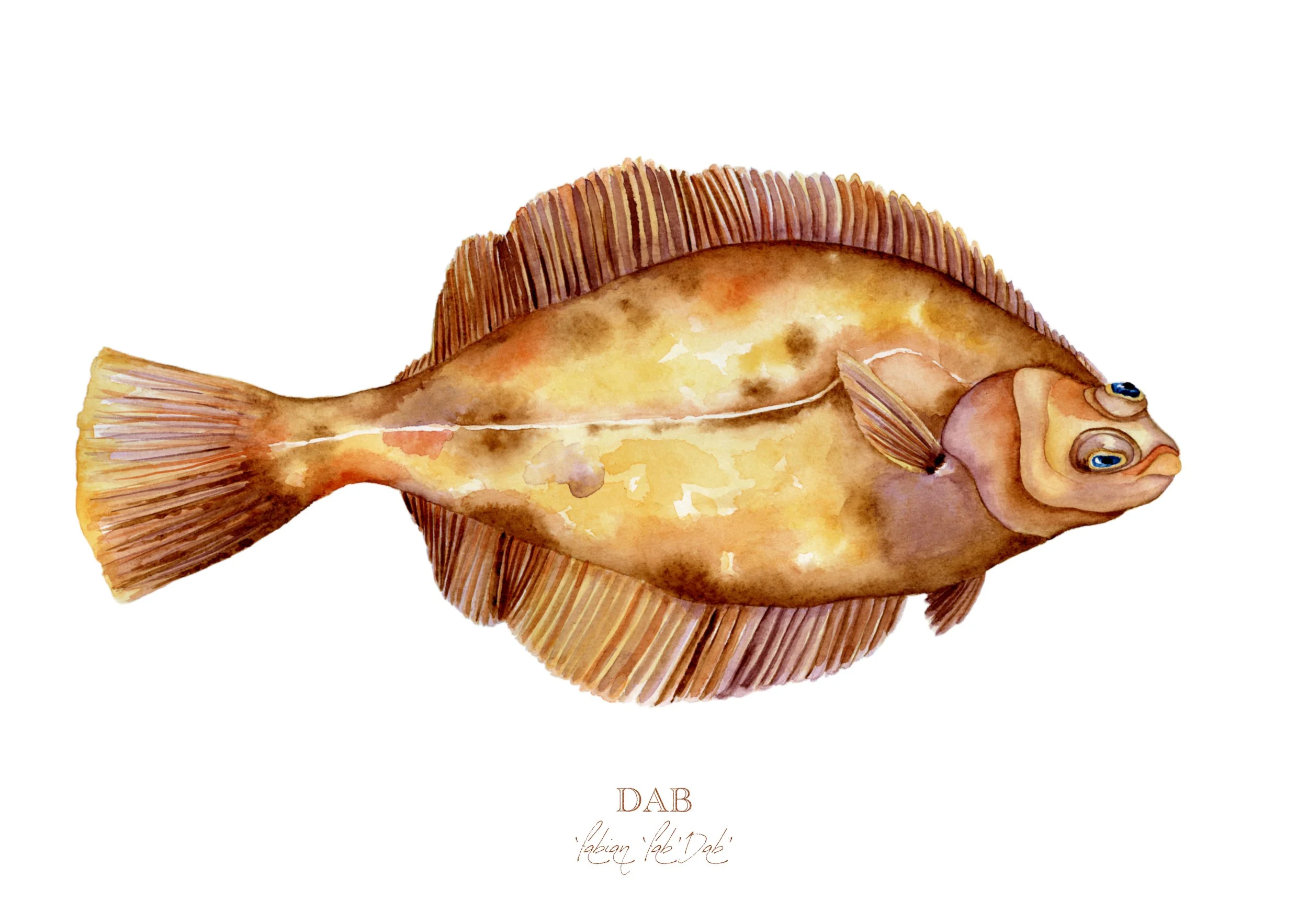 dab-giclée-limited-edition-print-vanna-paabor-A4.jpeg