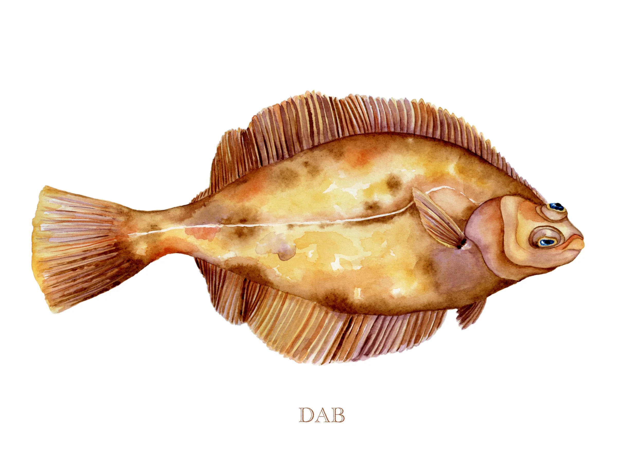 dab-giclée-limited-edition-print-vanna-paabor-A5.jpeg