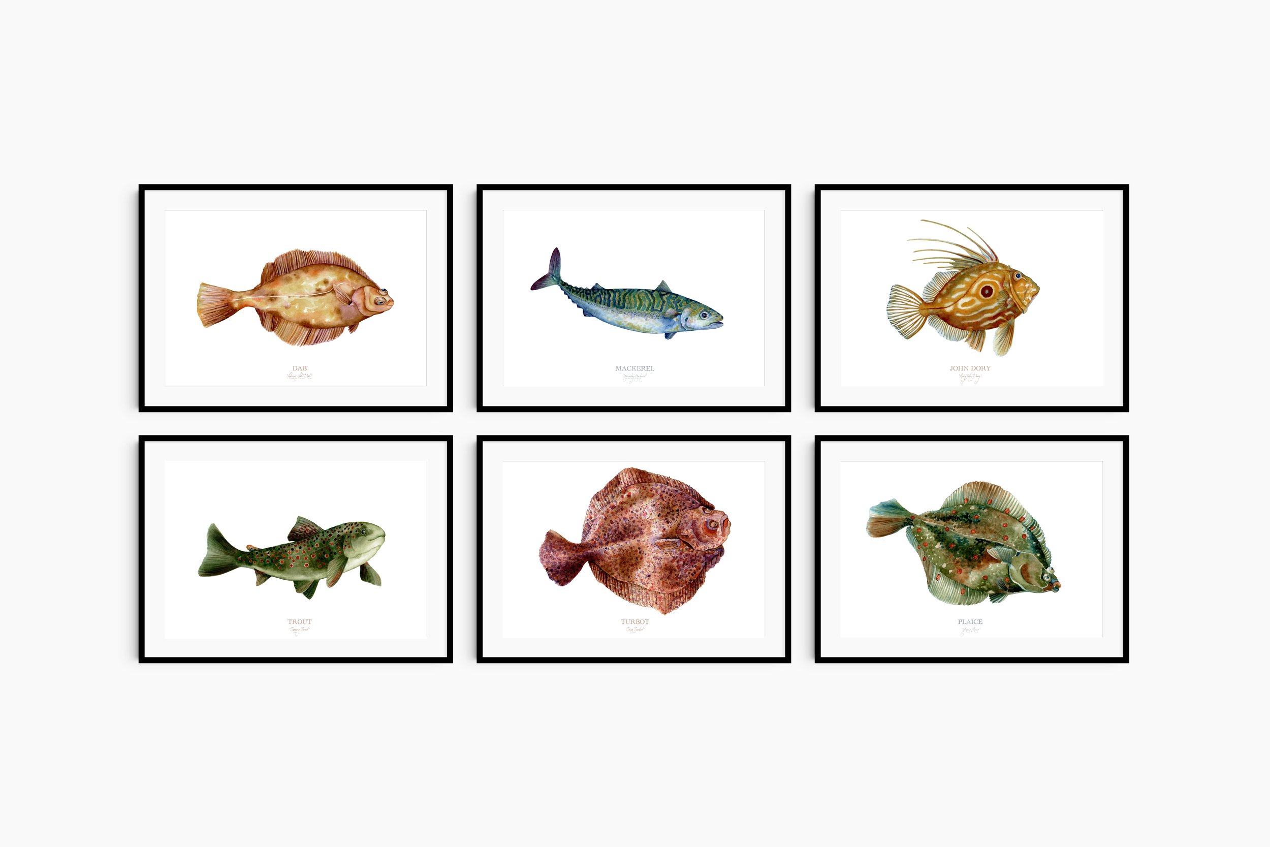 six-giclée-print-A3-frame-mockup-2-vanna-paabor.jpg