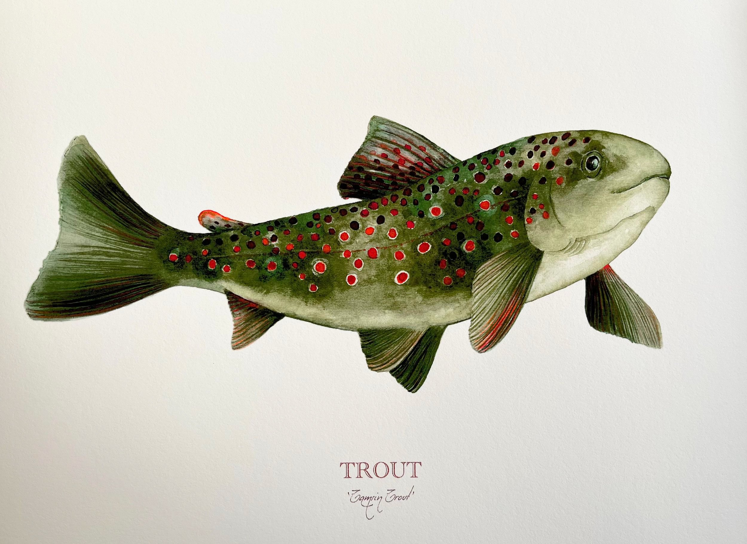 trout-gicle%CC%81e-limited-edition-print-image-vanna-paabor.jpg