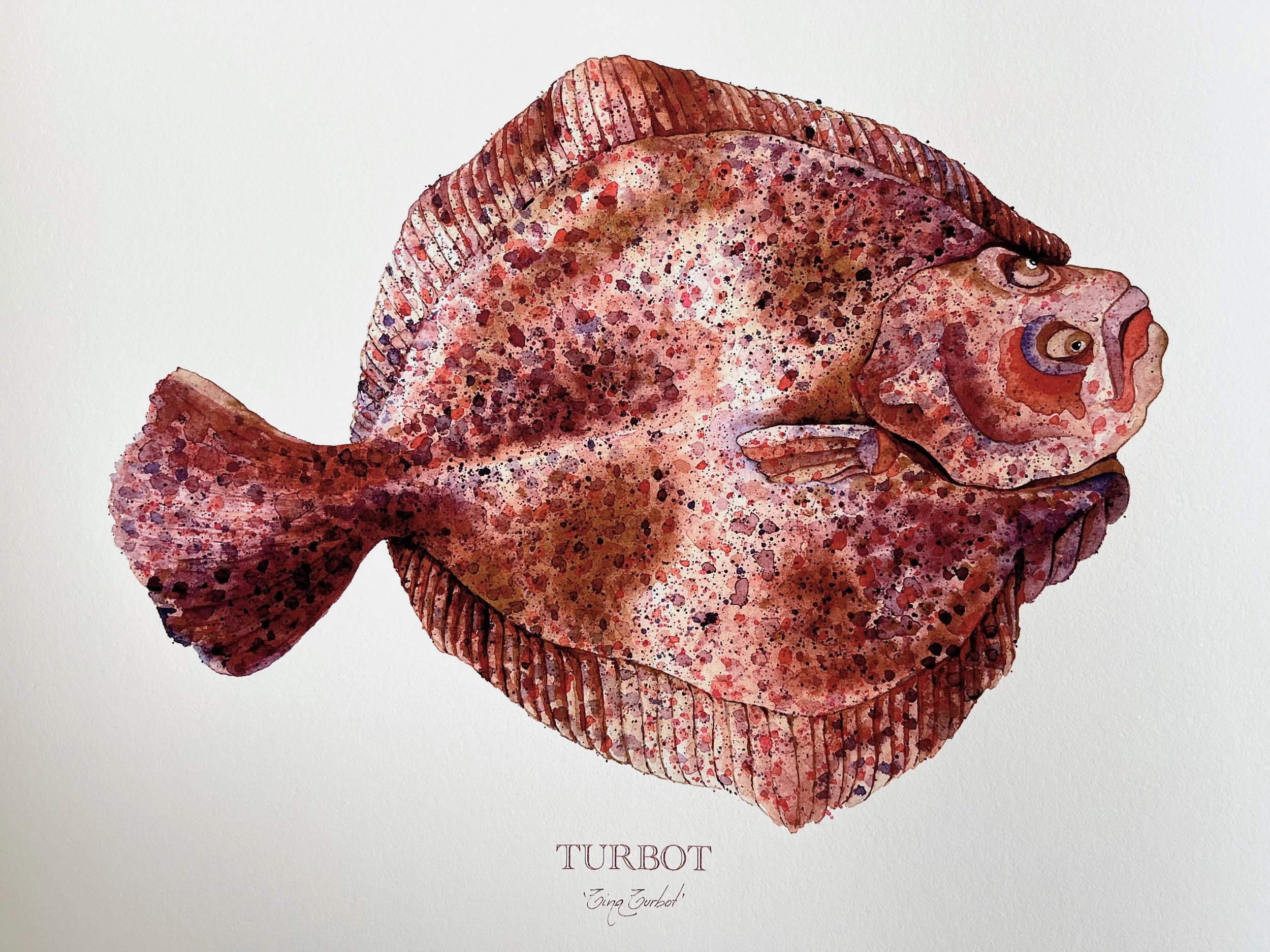 turbot-gicle%CC%81e-limited-edition-print-image-vanna-paabor.jpg