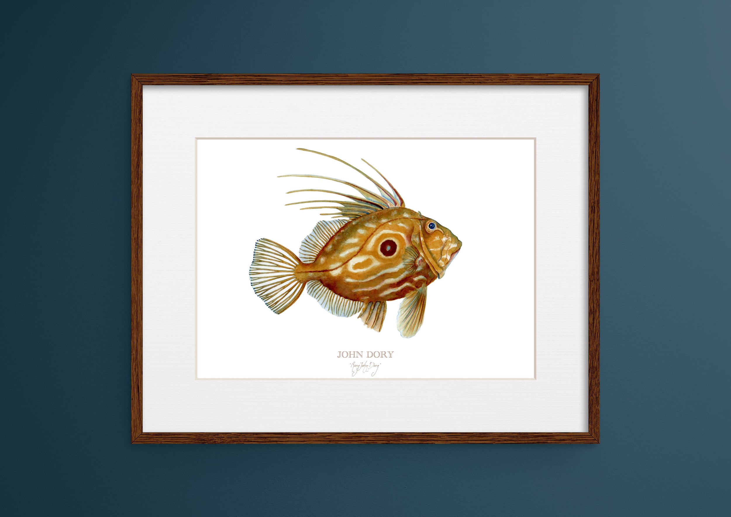 john-dory-A3-frame-mockup-vanna-paabor.jpg
