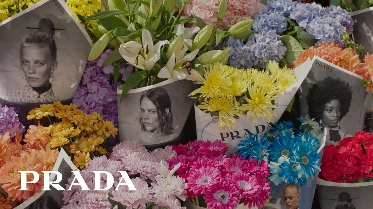 PRADA SEDITIOUS SIMPLICITY PHOTOGRAPHY DREW VICKERS AND KEIZO KITAJIMA