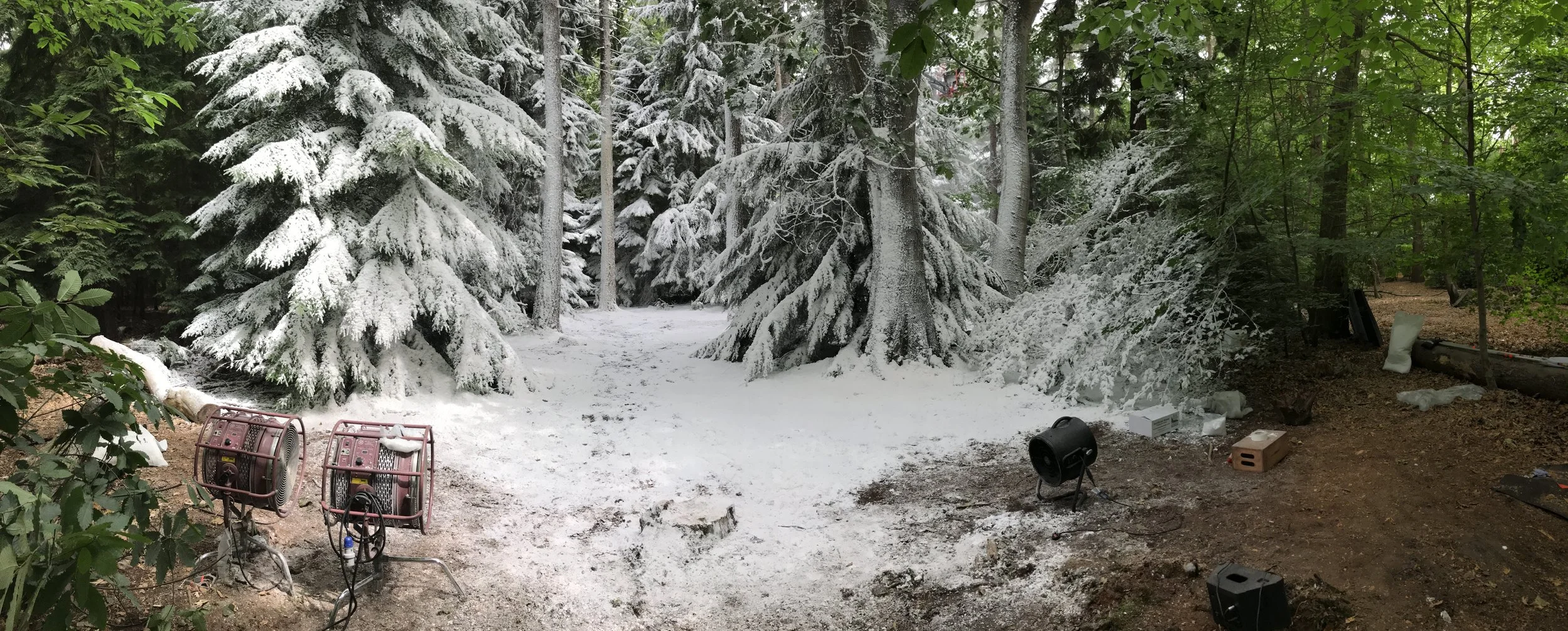 Snow-covered trees in a forest clearing with equipment and supplies on the ground and no snow in the surrounding area.