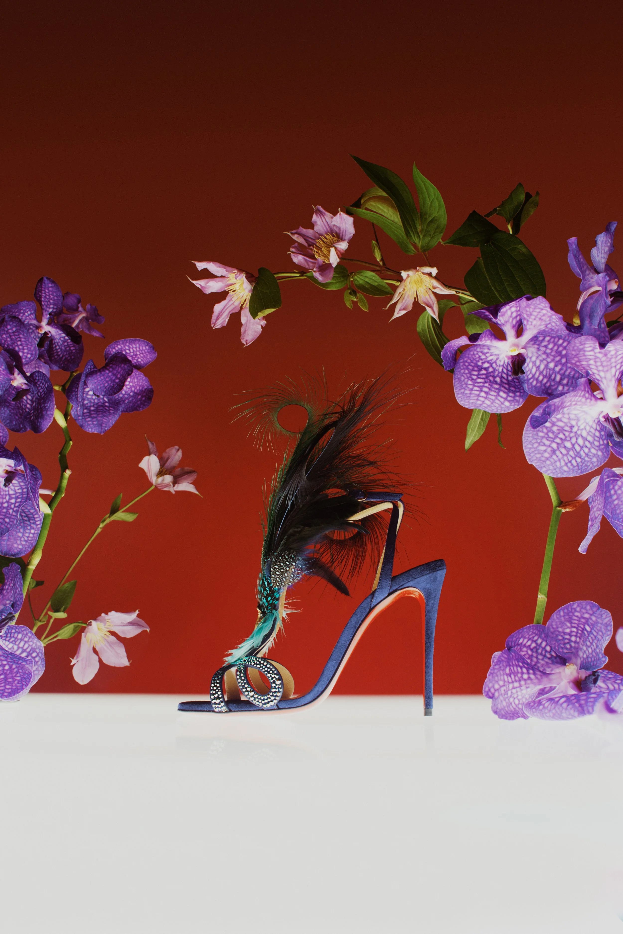 LOUBOUTIN OISSEUX DU PARADIS PHOTOGRAPHER CLARKE FRANKLIN STYLIST JESSICA SKEETE CROSS