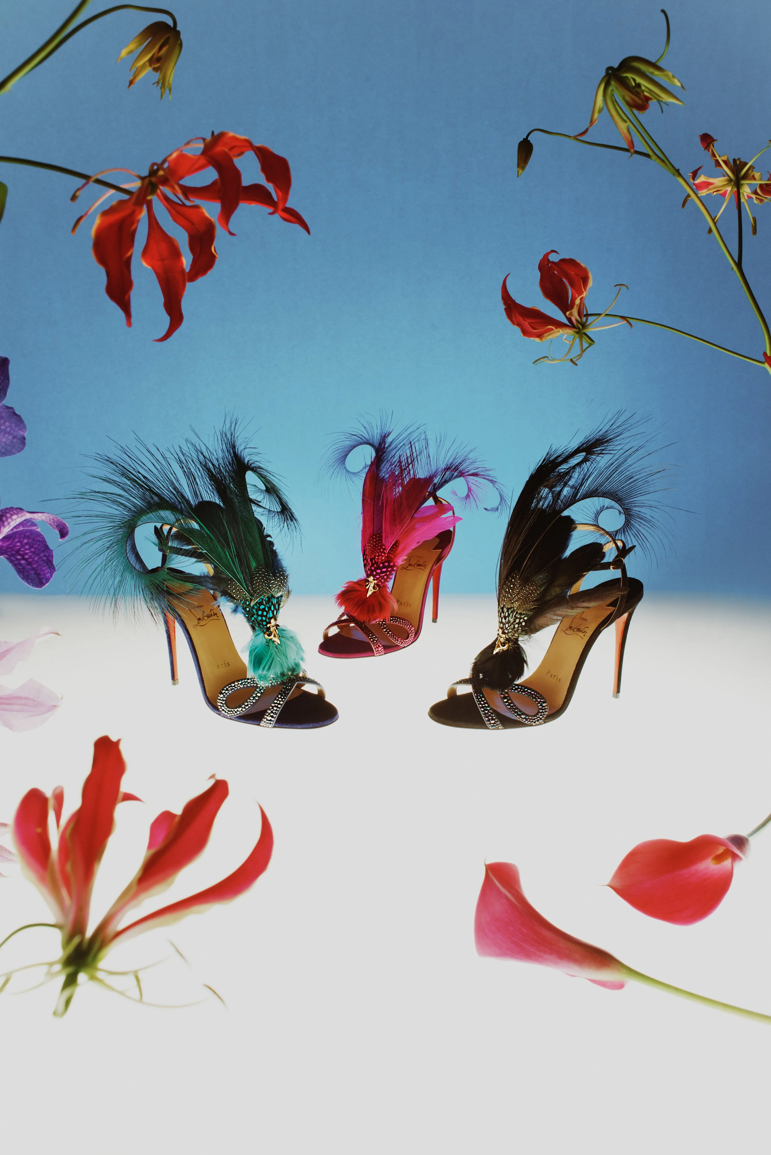 LOUBOUTIN OISSEUX DU PARADIS PHOTOGRAPHER CLARKE FRANKLIN STYLIST JESSICA SKEETE CROSS