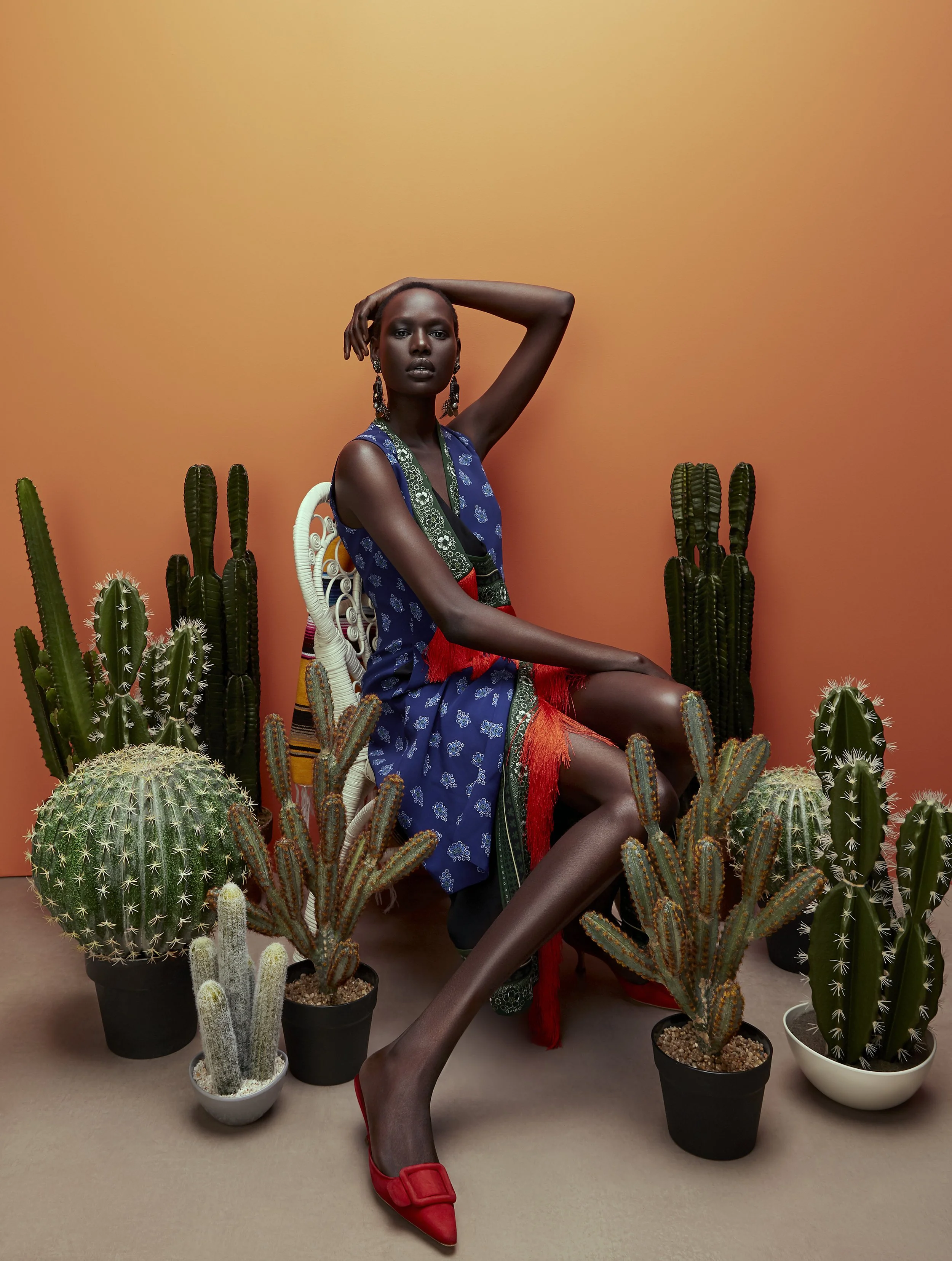 COUNTRY AND TOWNHOUSE PHOTOGRAPHY CARLA GULER STYLIST NICOLE SMALLWOOD