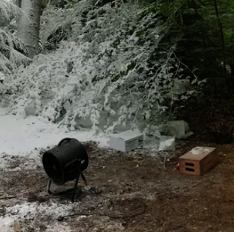 Lake or river with a waterfall in the background, outdoor scene with trees, a black speaker, a white box, and a wooden crate on the ground.
