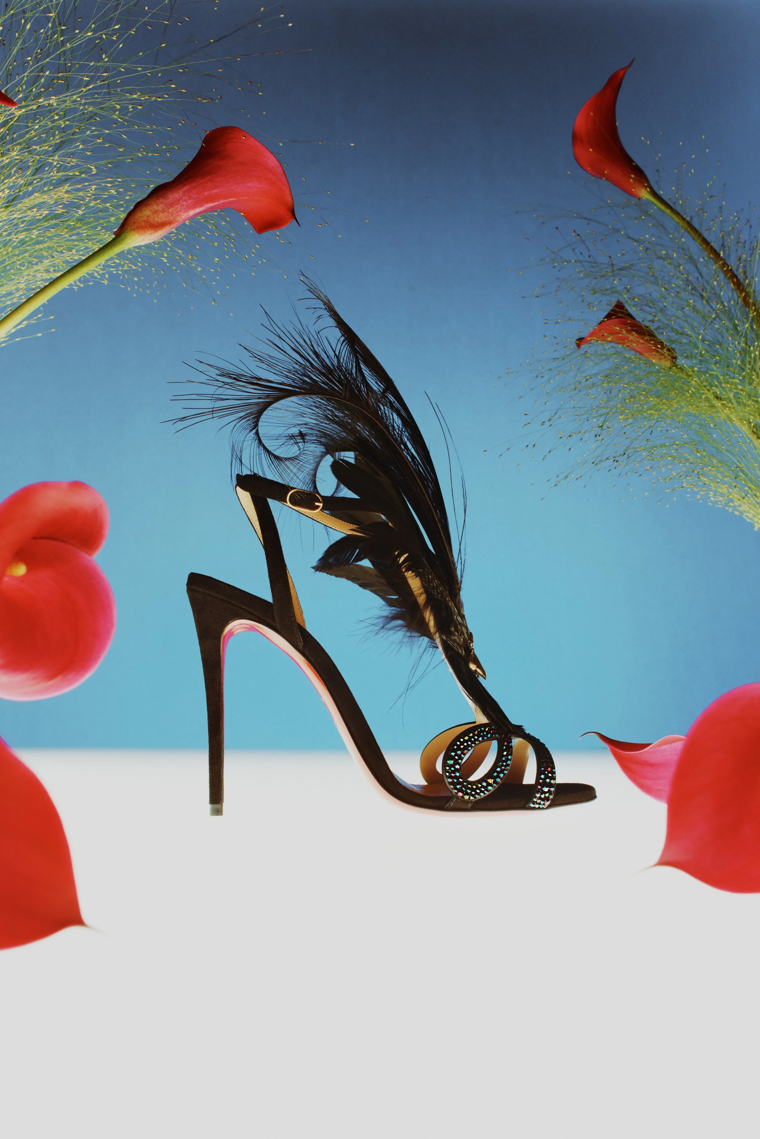 LOUBOUTIN OISSEUX DU PARADIS PHOTOGRAPHER CLARKE FRANKLIN STYLIST JESSICA SKEETE CROSS