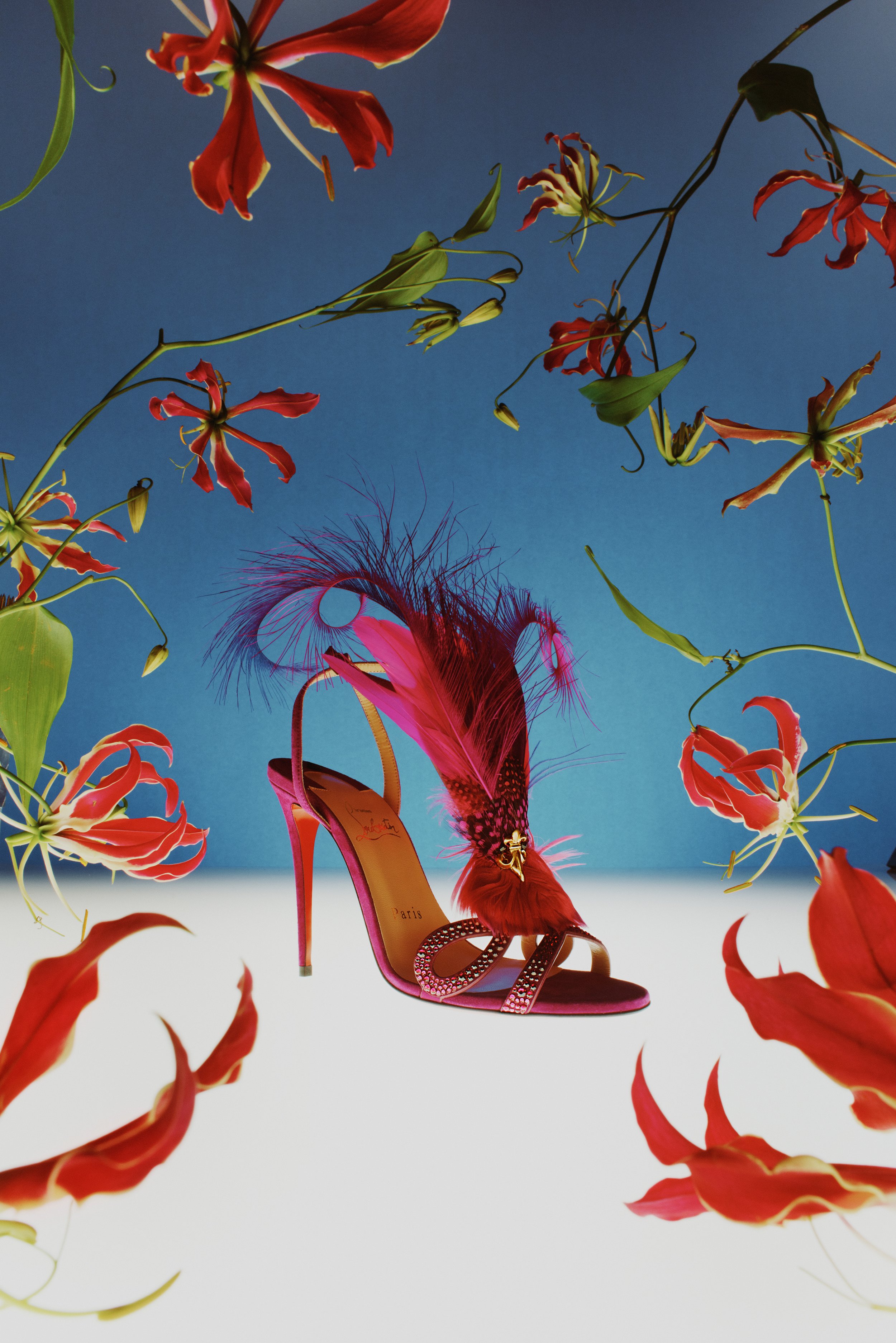 LOUBOUTIN OISSEUX DU PARADIS PHOTOGRAPHER CLARKE FRANKLIN STYLIST JESSICA SKEETE CROSS