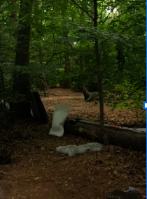 A fallen tree in a forest with bags of debris and trash around it.