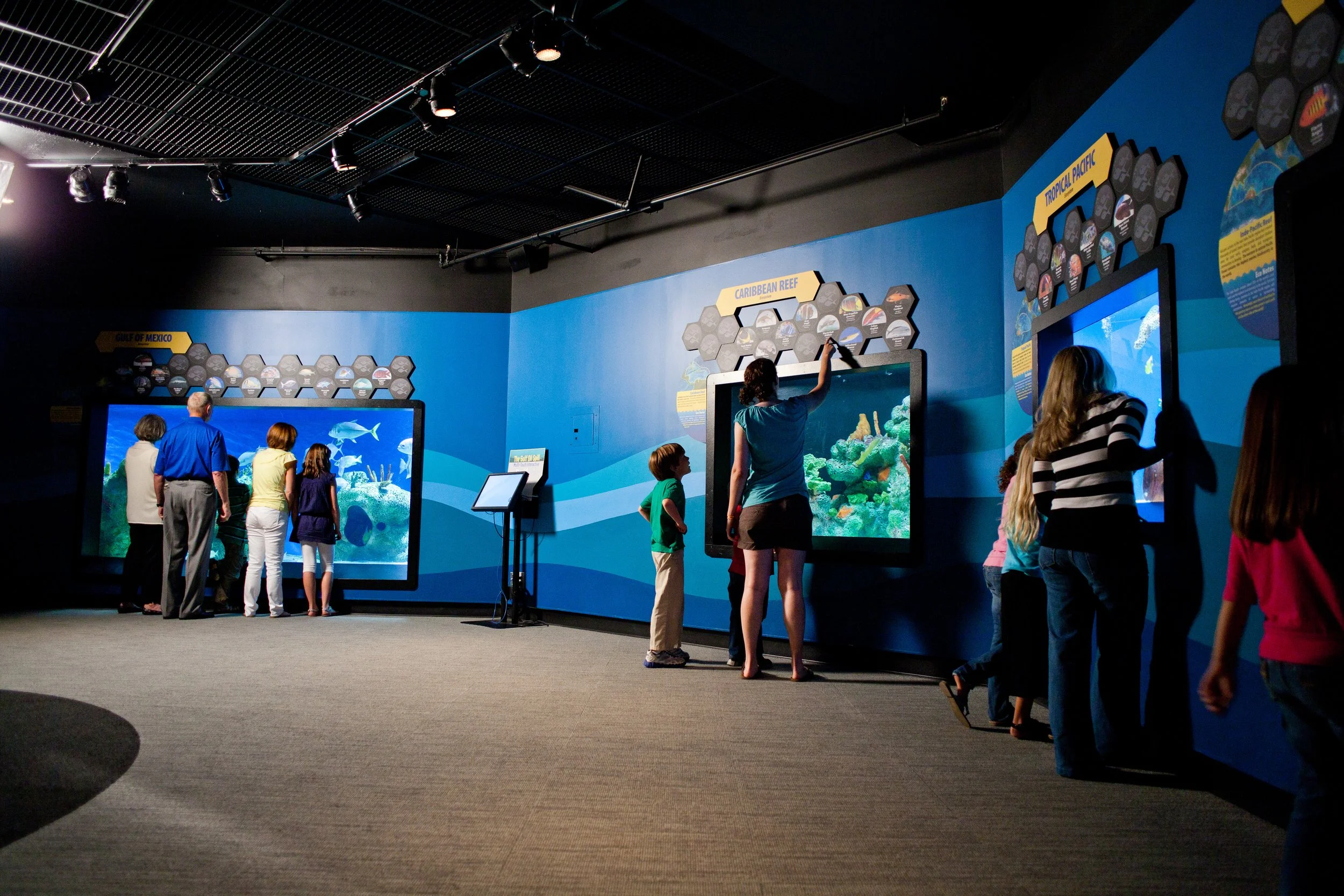 Ocean Journey- 9 tanks with nearly 20,000 gallons display animals from the worlds oceans