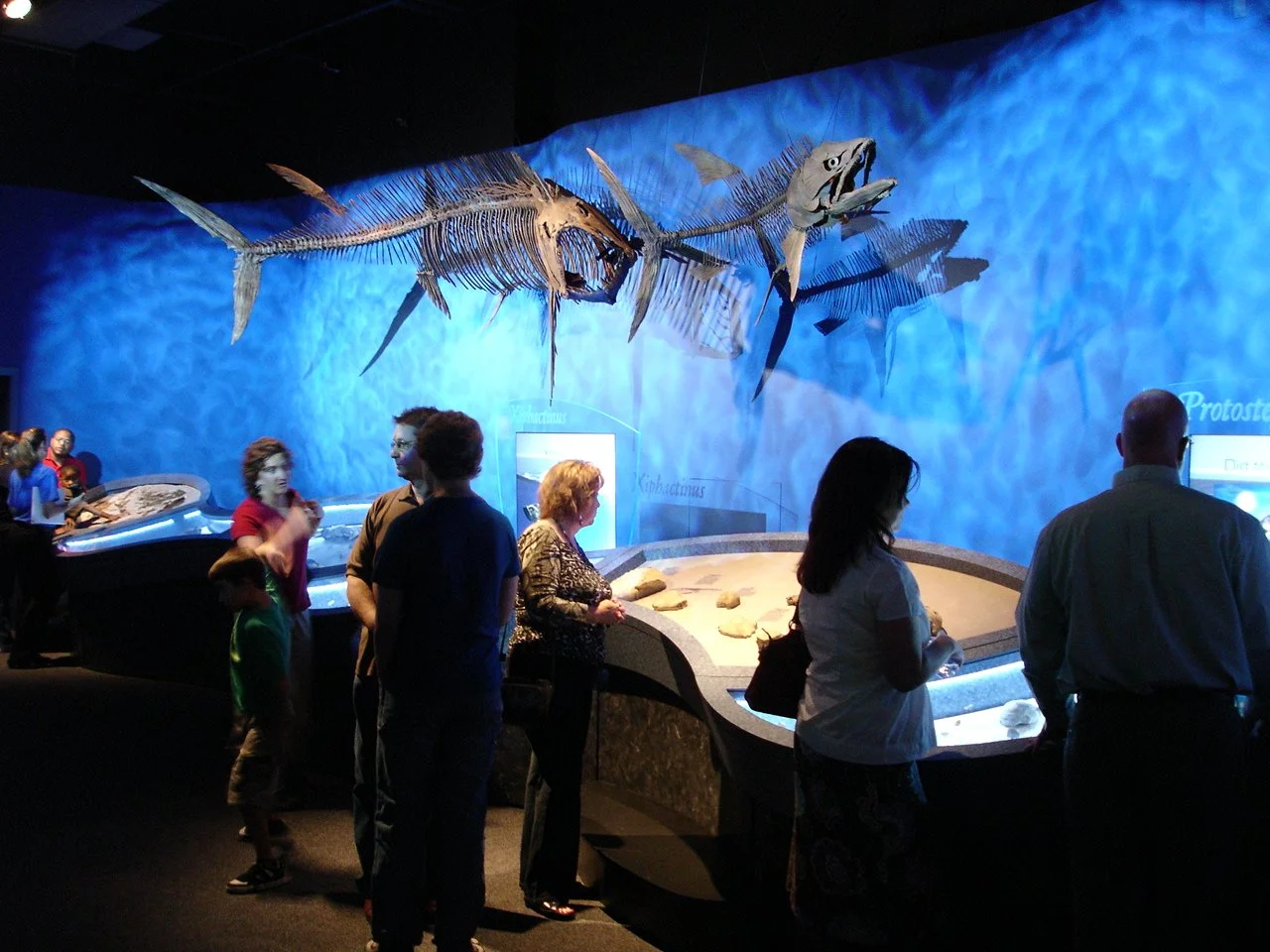 Sea Monsters display