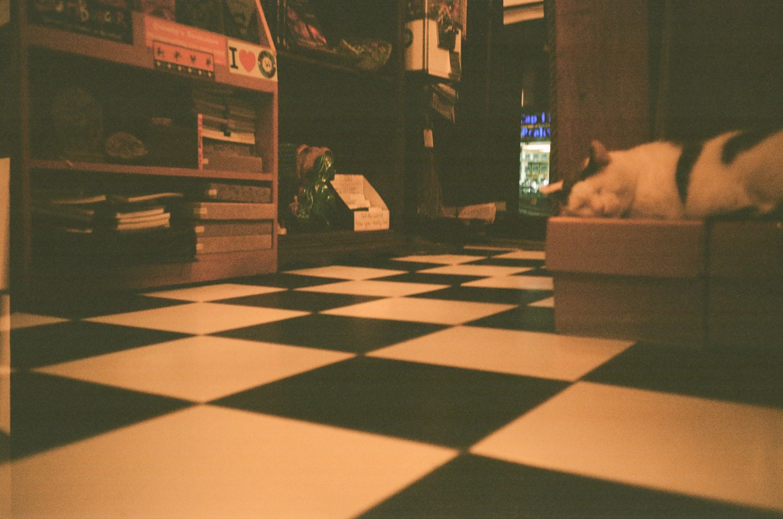 kodak_400_c_41_31731_109869_248396_000007810016.jpg